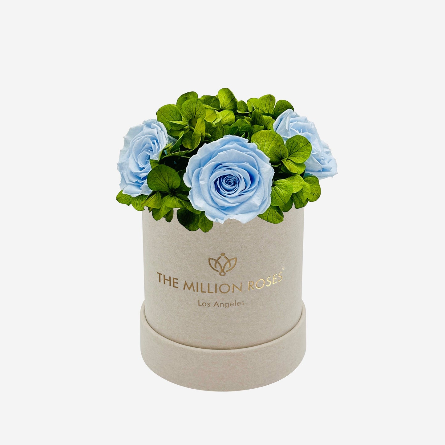 Basic Beige Suede Garden Box | Light Blue Roses