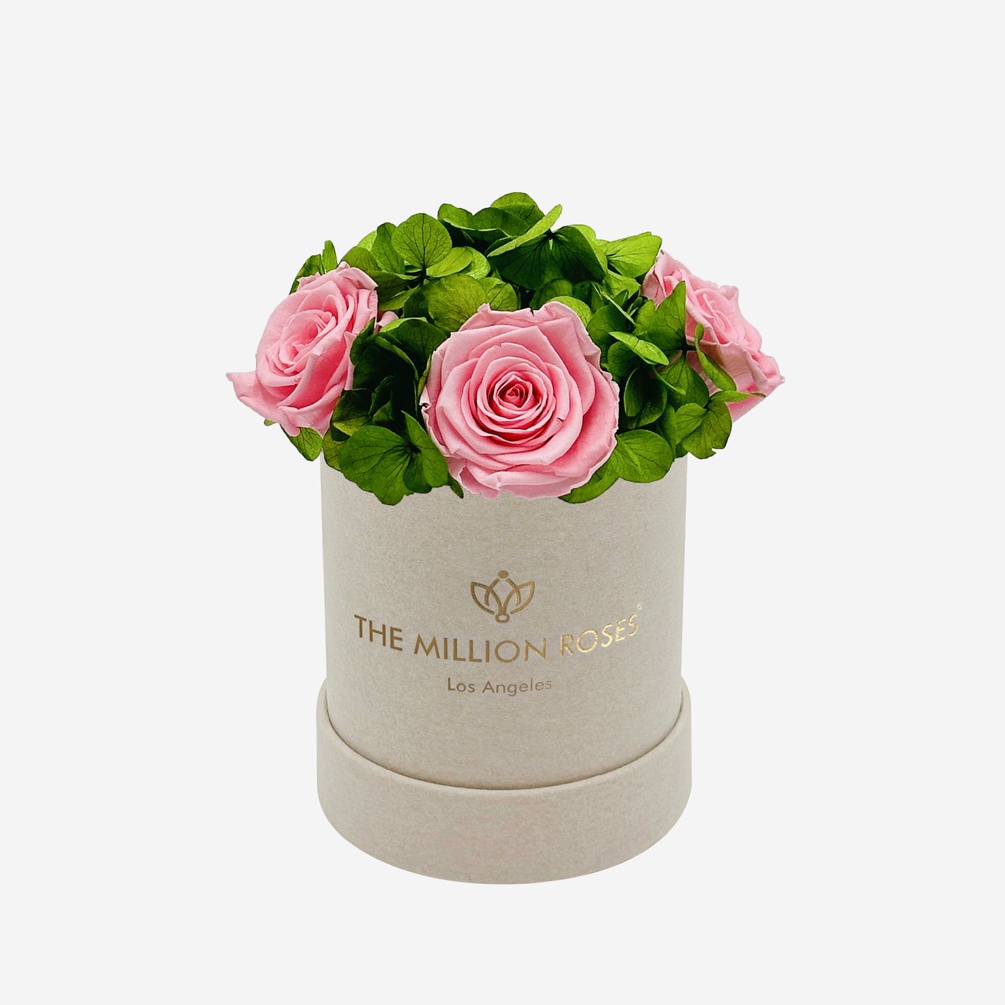 Basic Beige Suede Garden Box | Light Pink Roses