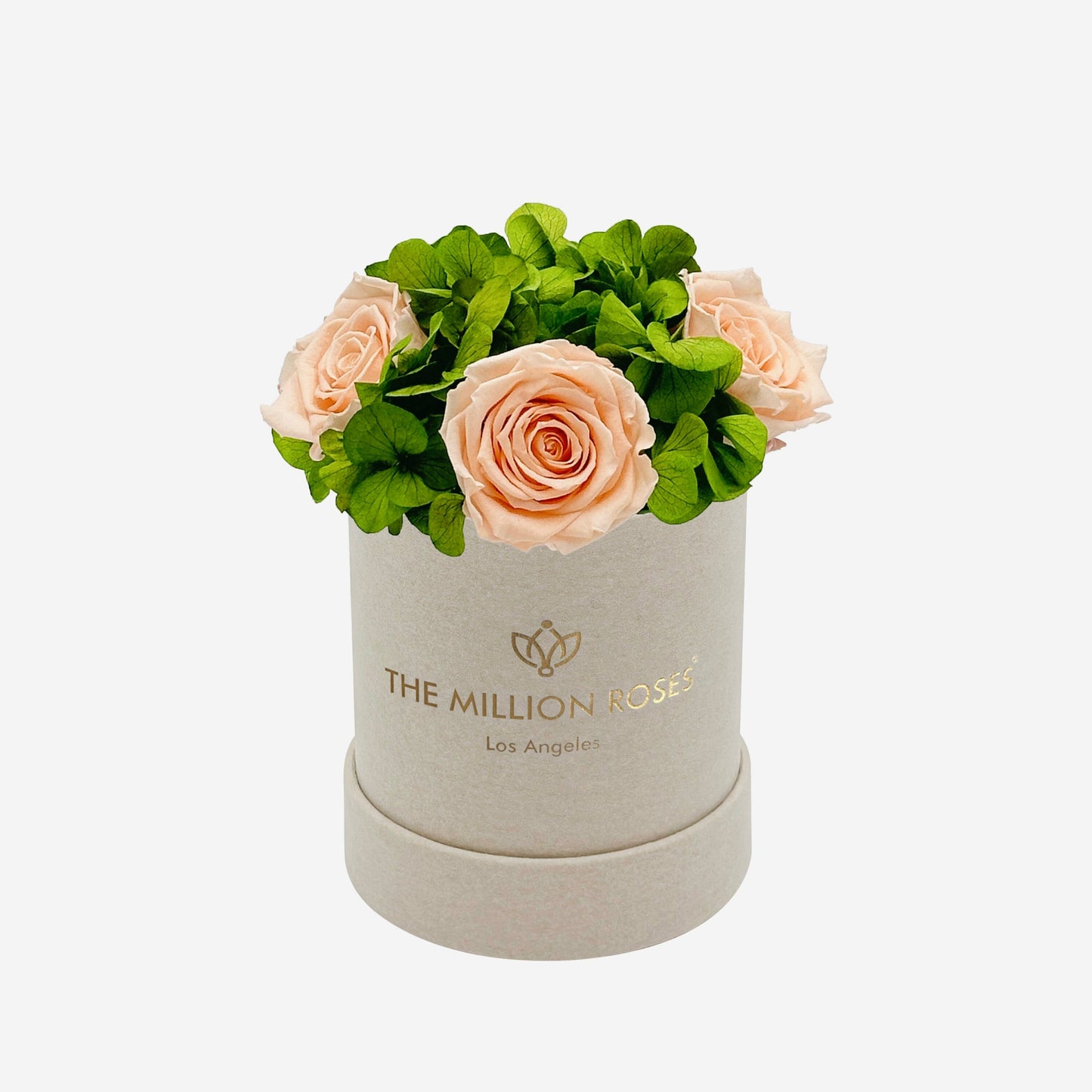 Basic Beige Suede Garden Box | Peach Roses