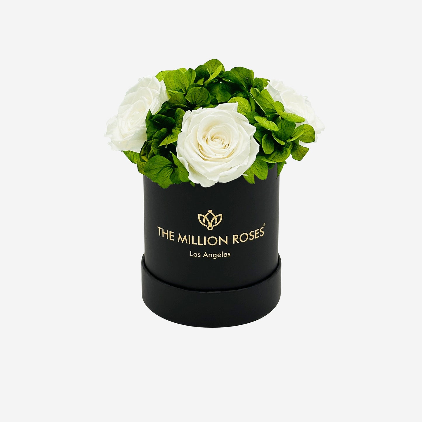 Basic Black Garden Box | White Roses