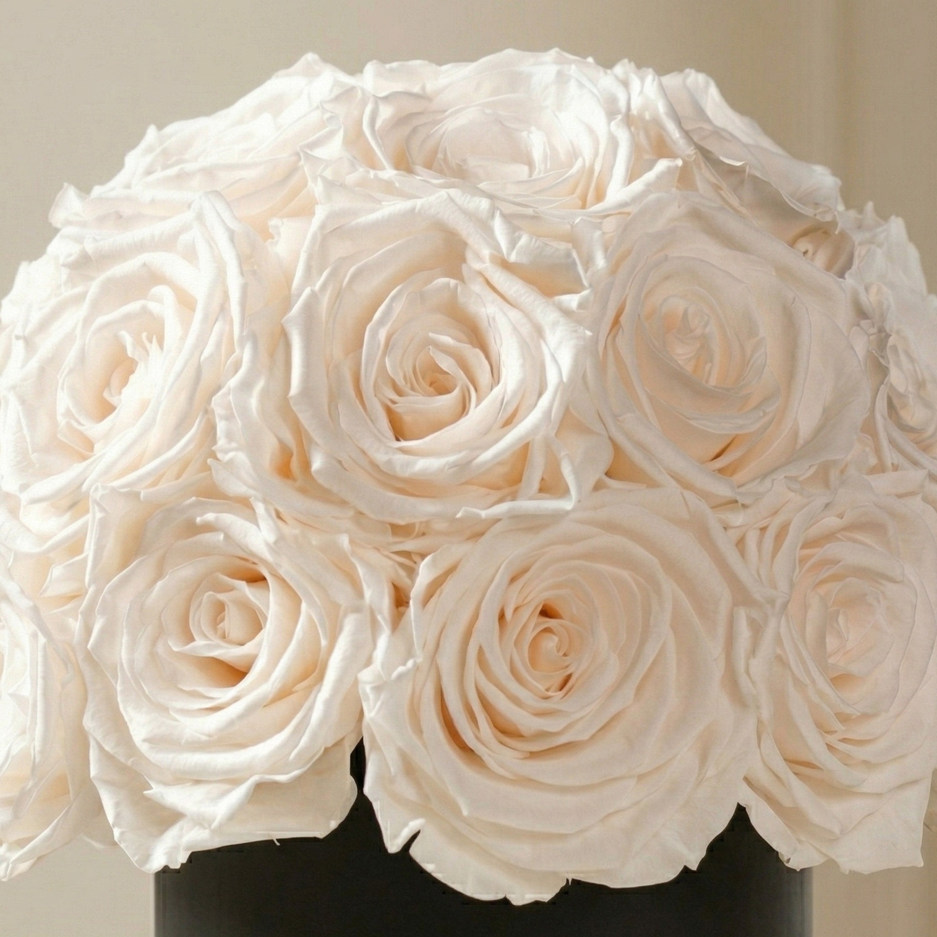 Basic Black Superdome Box | White Roses