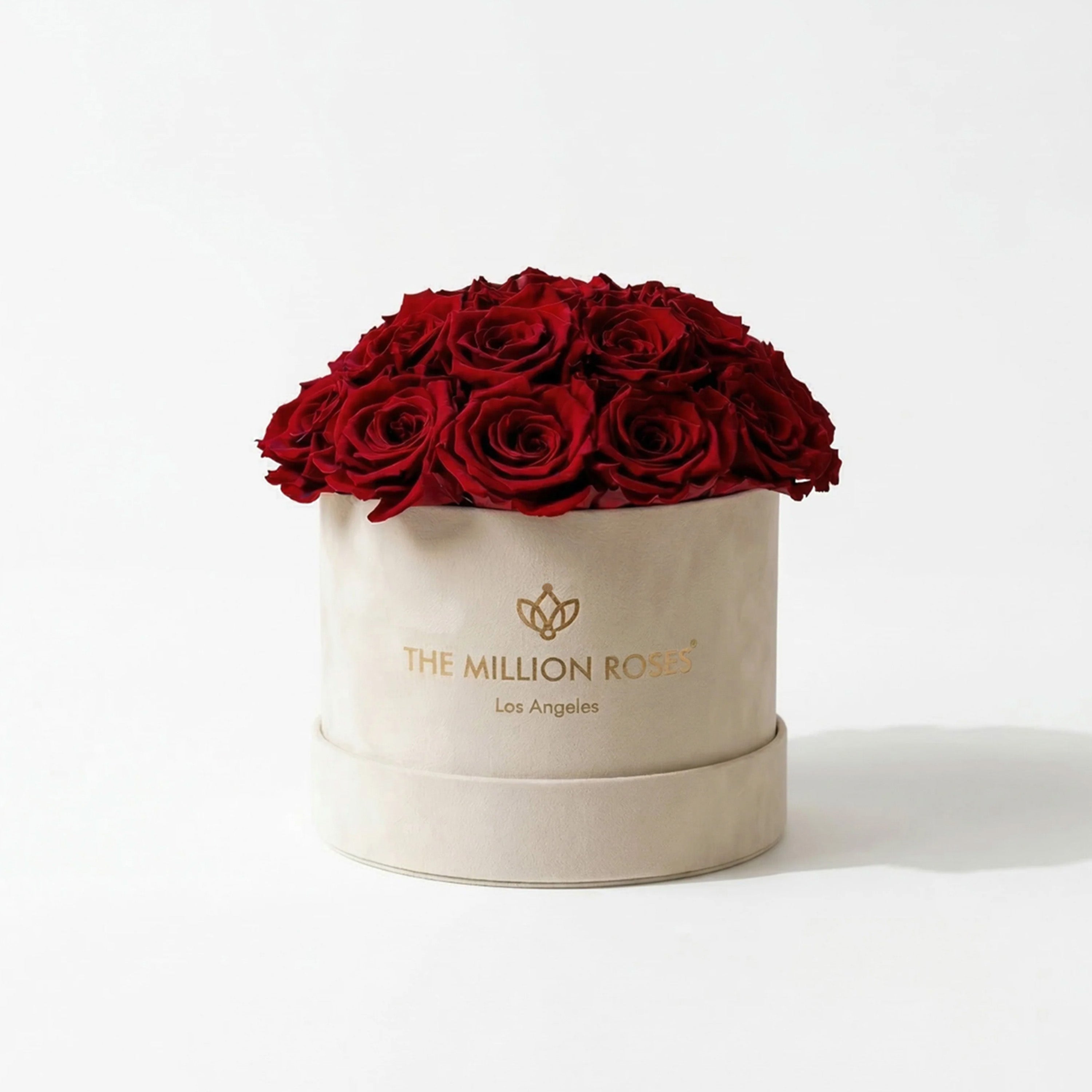 Classic Beige Suede Dome Box | Red Roses