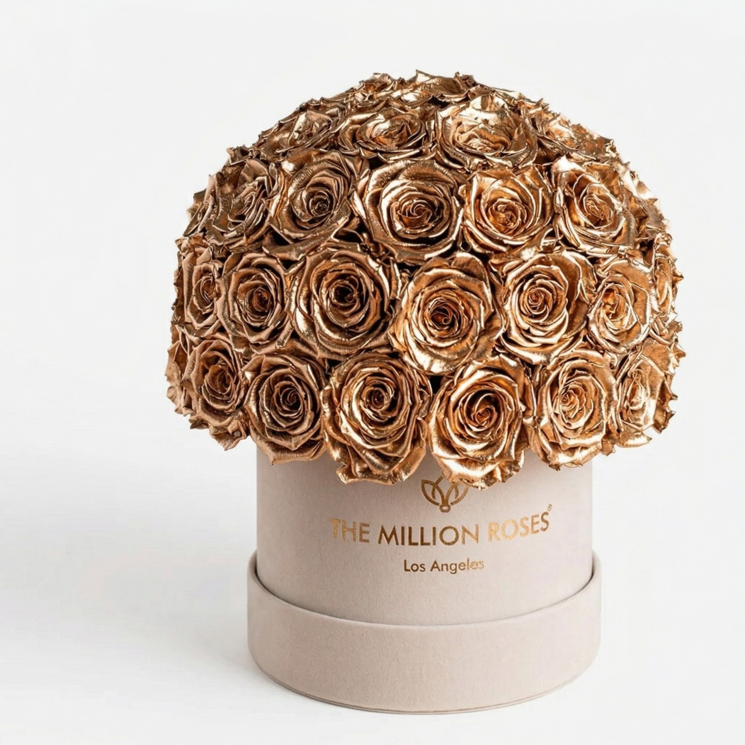 Classic Beige Suede Superdome Box | Gold Roses
