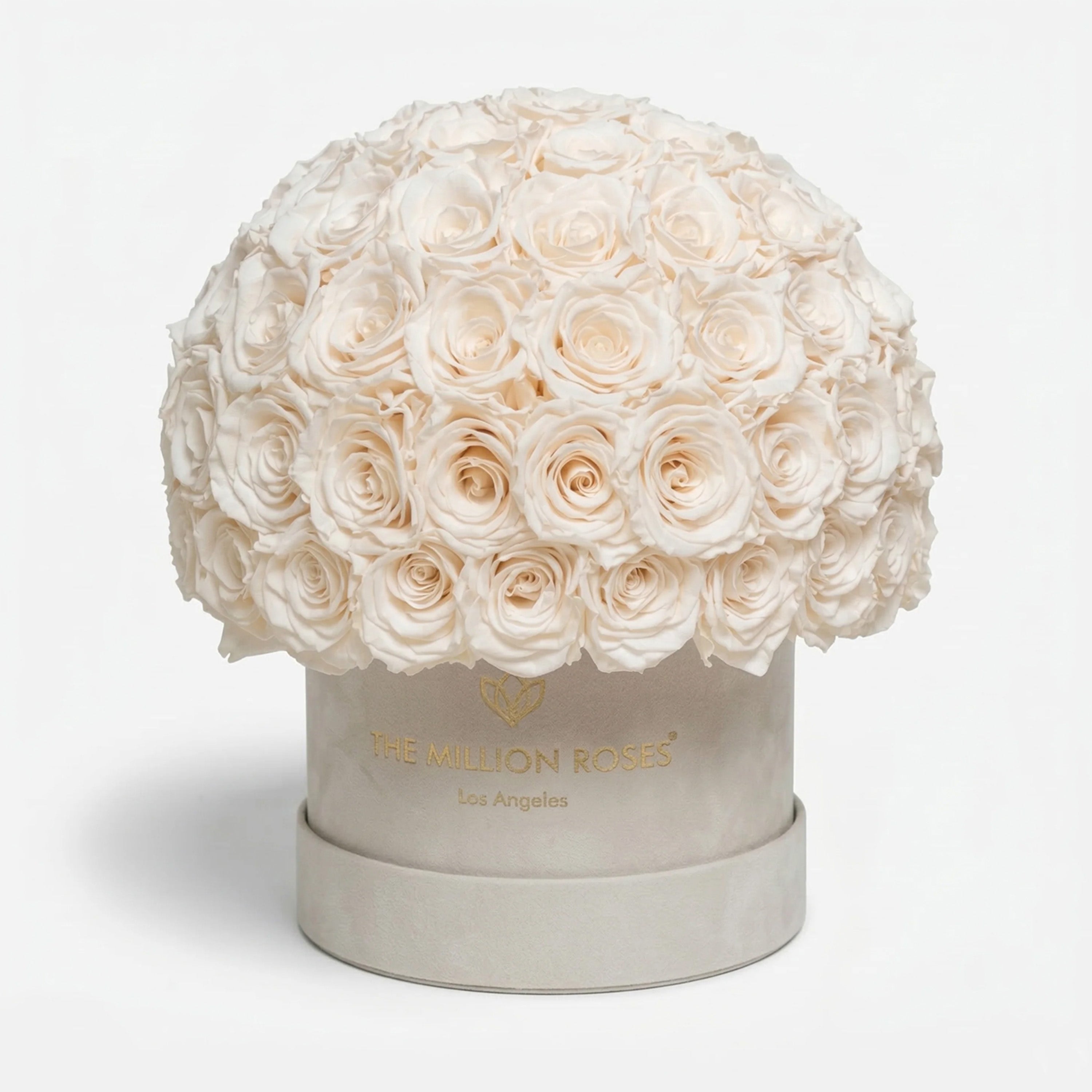 Classic Beige Suede Superdome Box | White Roses