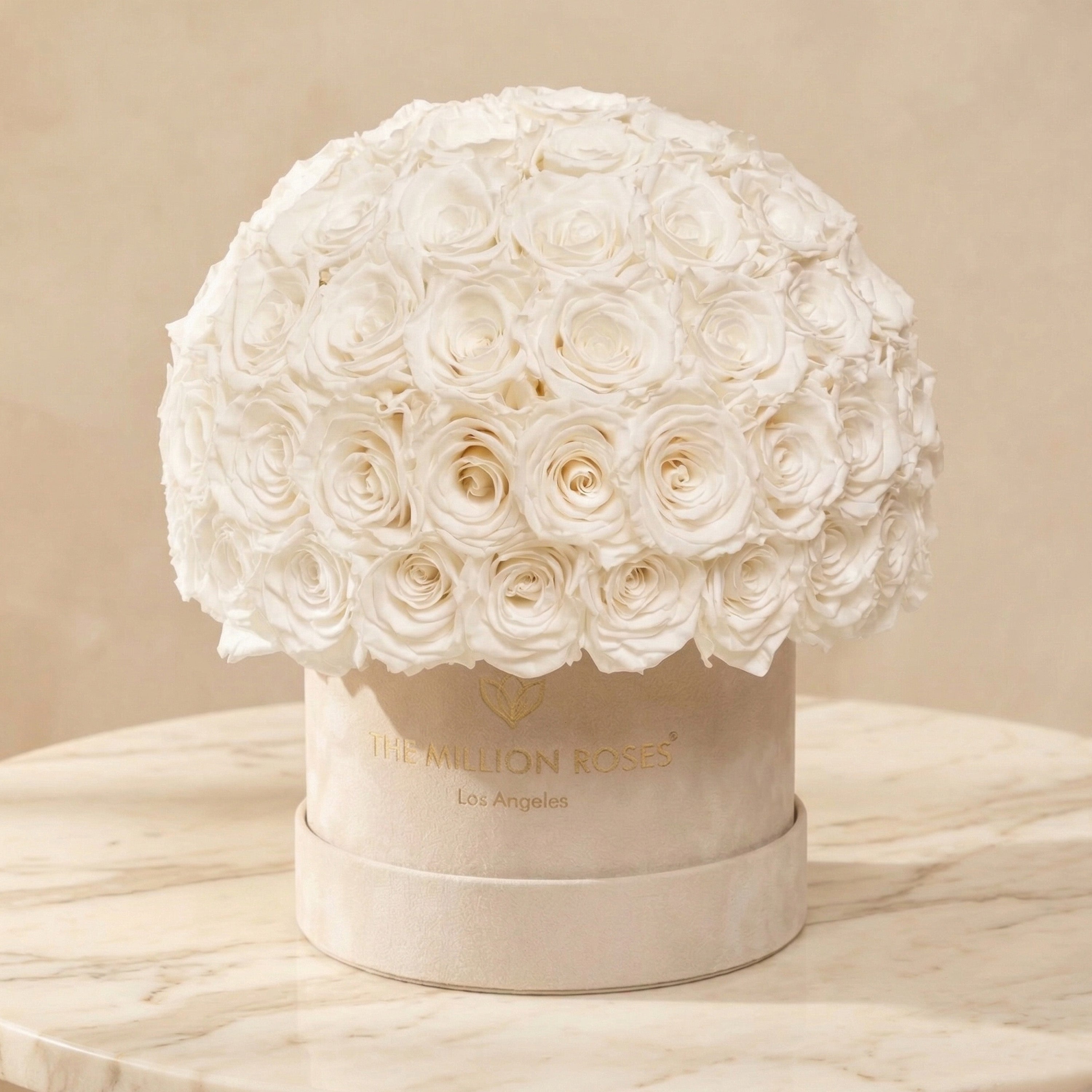 Classic Beige Suede Superdome Box | White Roses