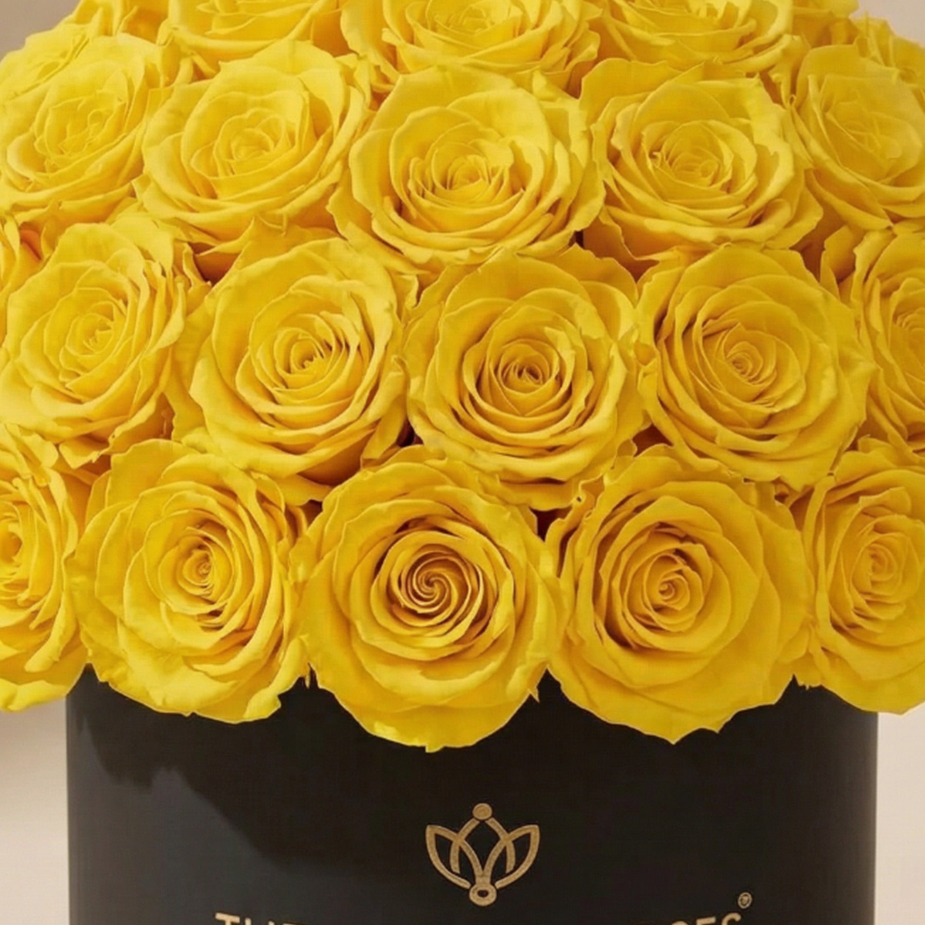 Classic Black Superdome Box | Yellow Roses