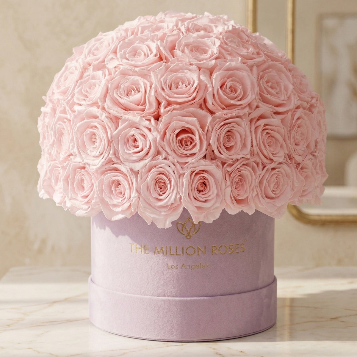 Pink Roses Box Classic Light Pink Suede Superdome Box | Light Pink Roses