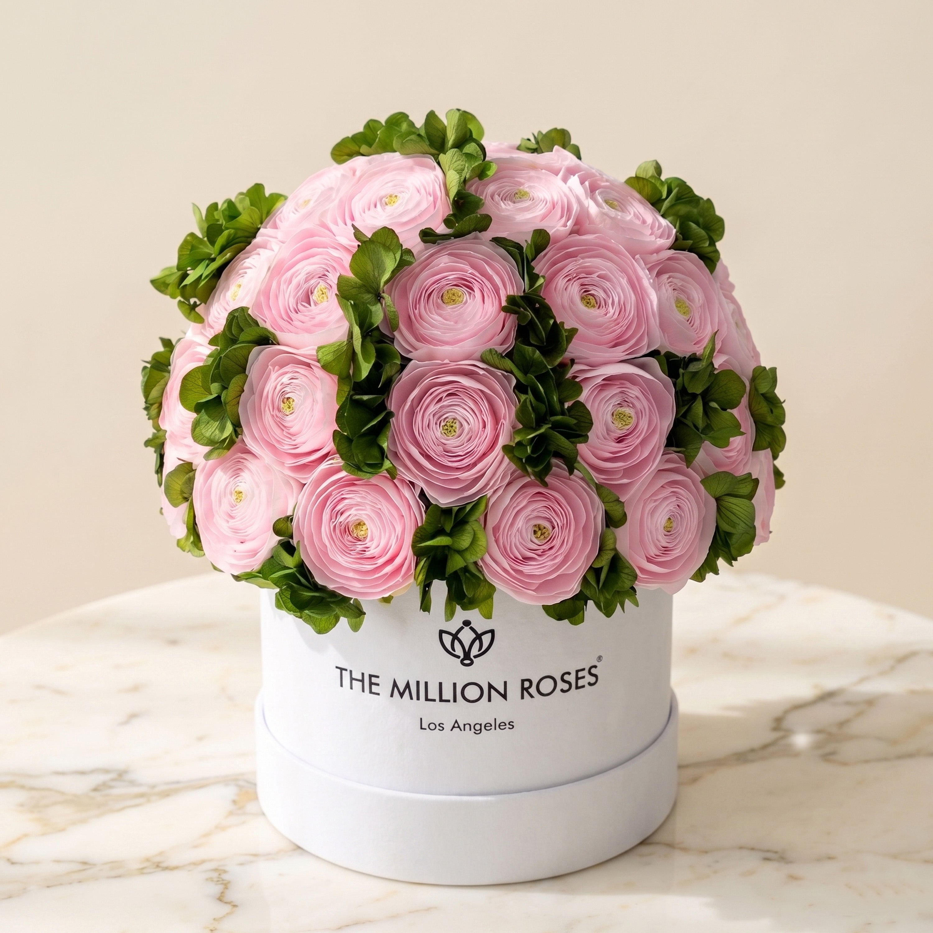 Classic White Box | Light Pink Persian Buttercups & Green Hydrangeas