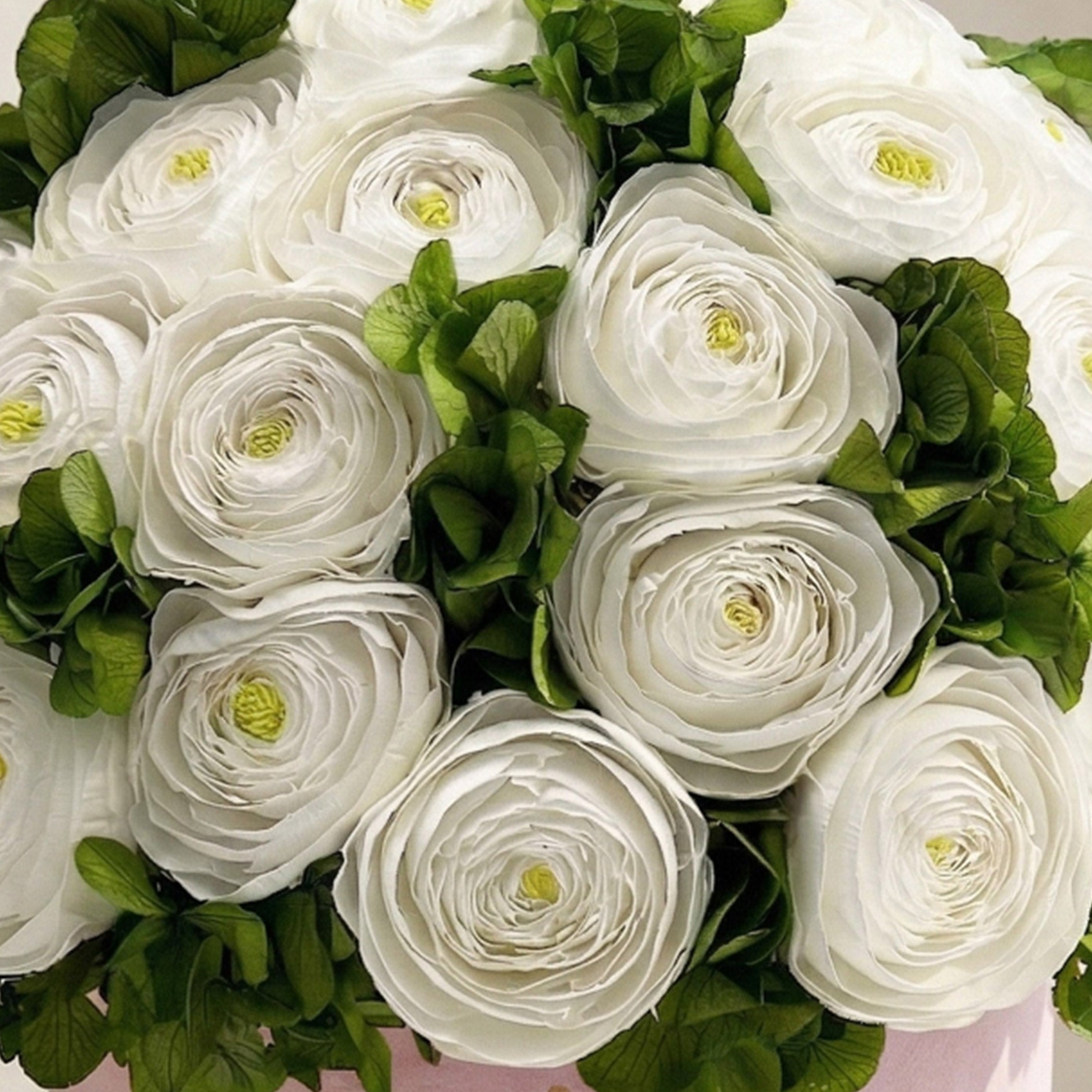 Classic Light Pink Suede Box | White Persian Buttercups & Green Hydrangeas