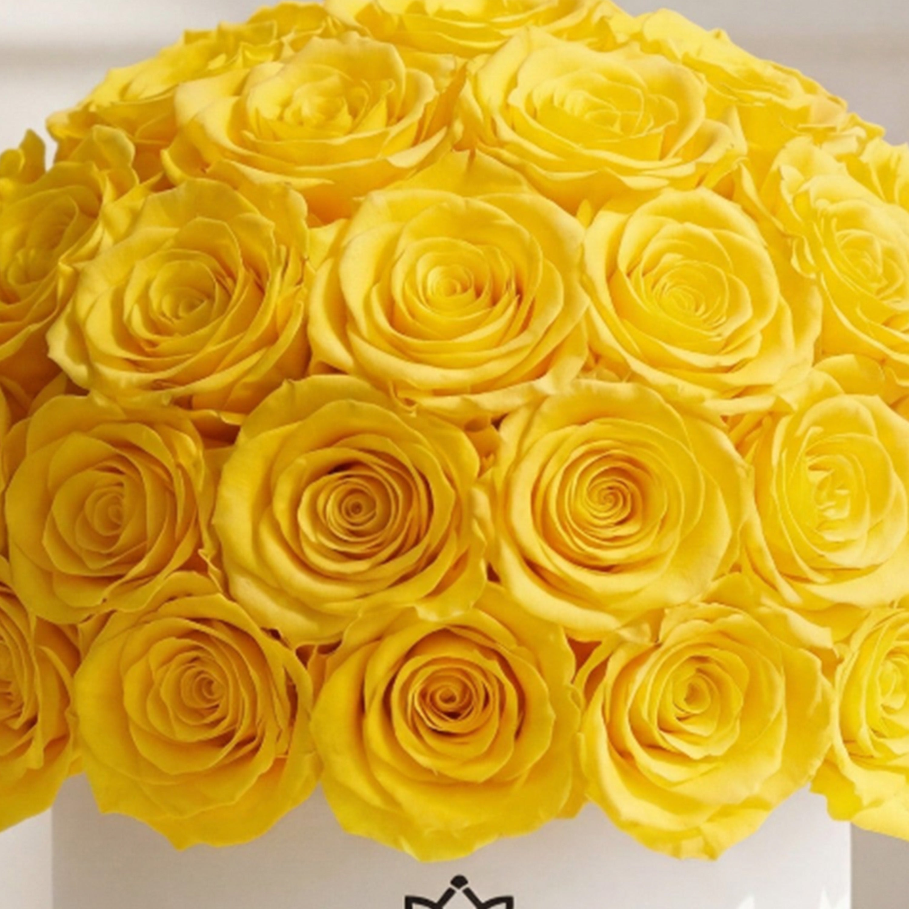 Classic White Superdome Box | Yellow Roses