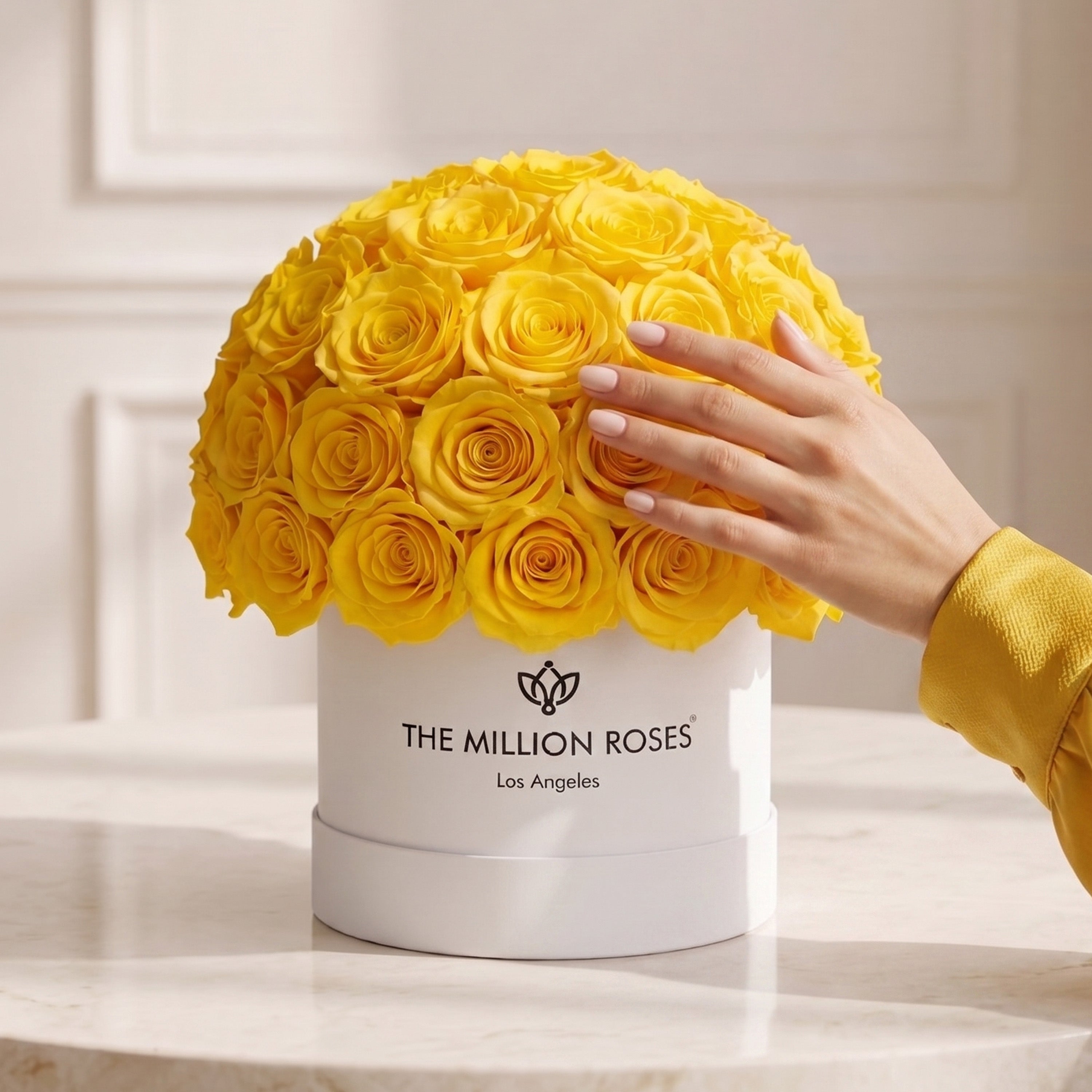 Classic White Superdome Box | Yellow Roses