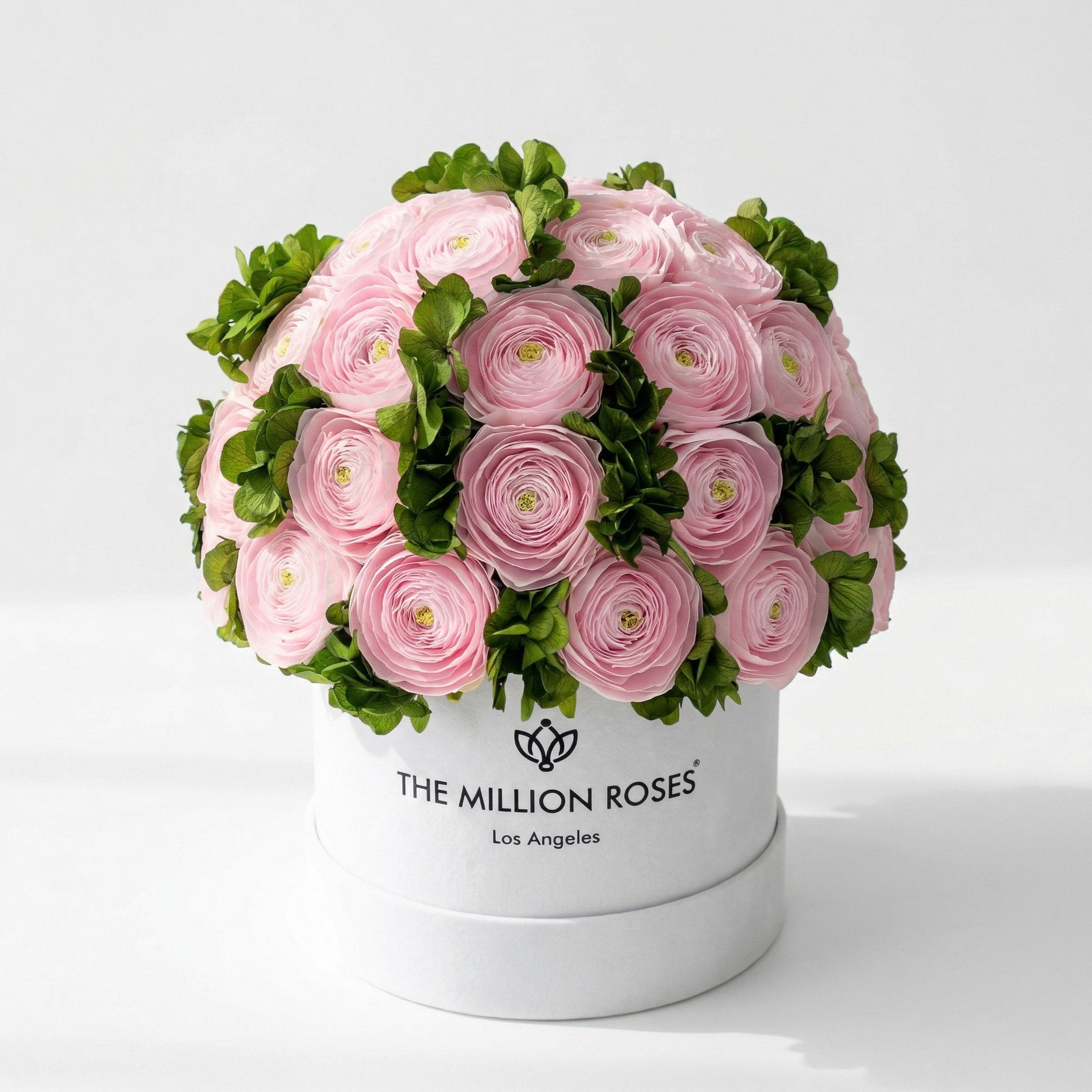 Caja blanca clásica | Ranúnculos persas de color rosa claro y hortensias verdes
