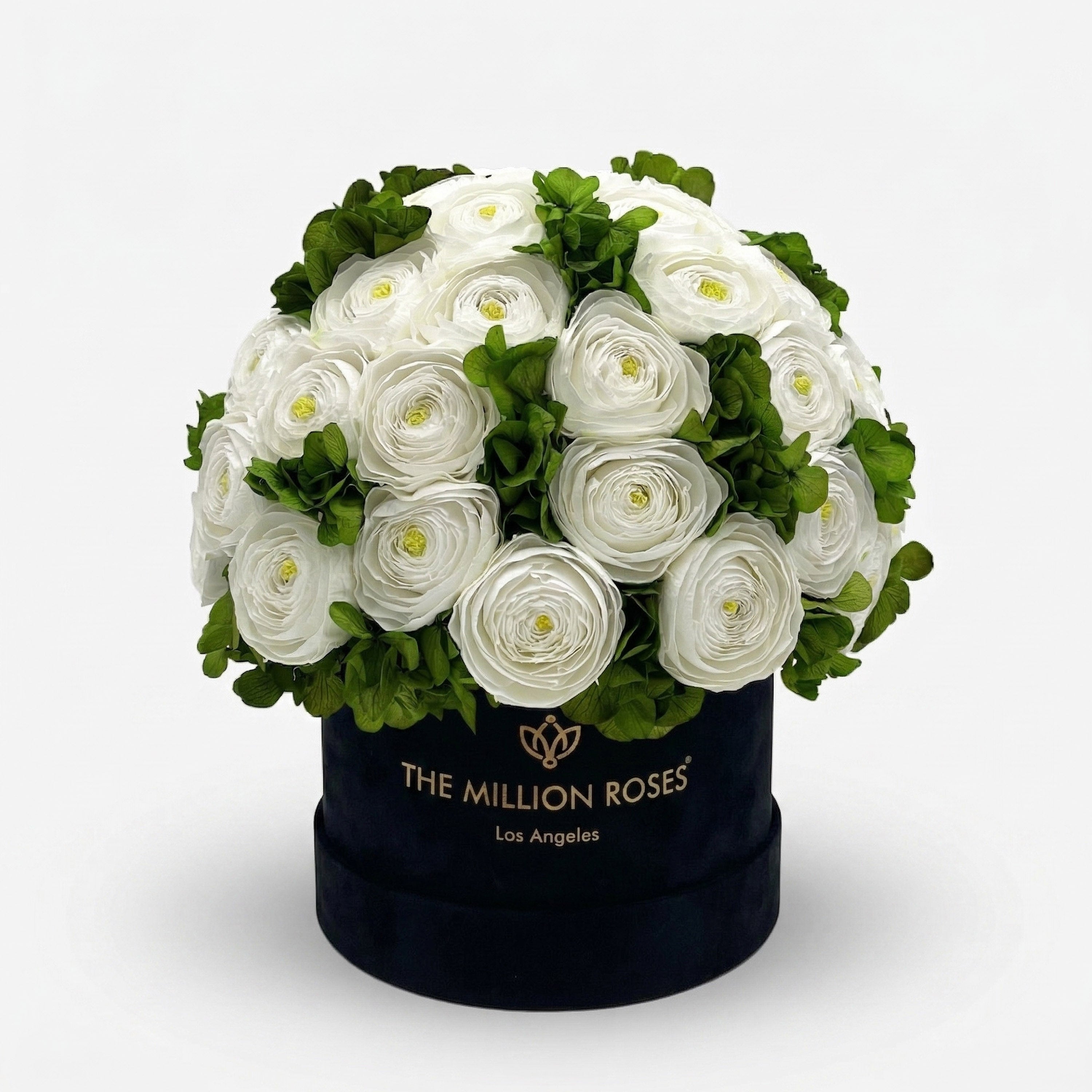 Classic Black Box | White Persian Buttercups & Green Hydrangeas