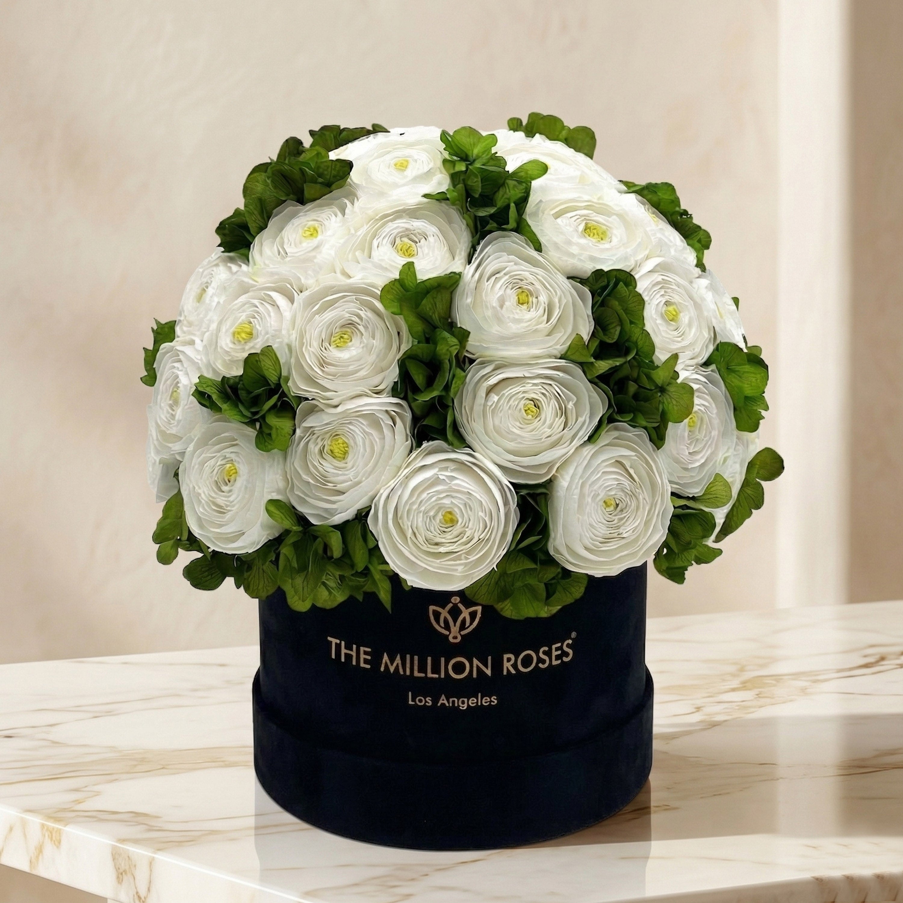 Classic Black Box | White Persian Buttercups & Green Hydrangeas