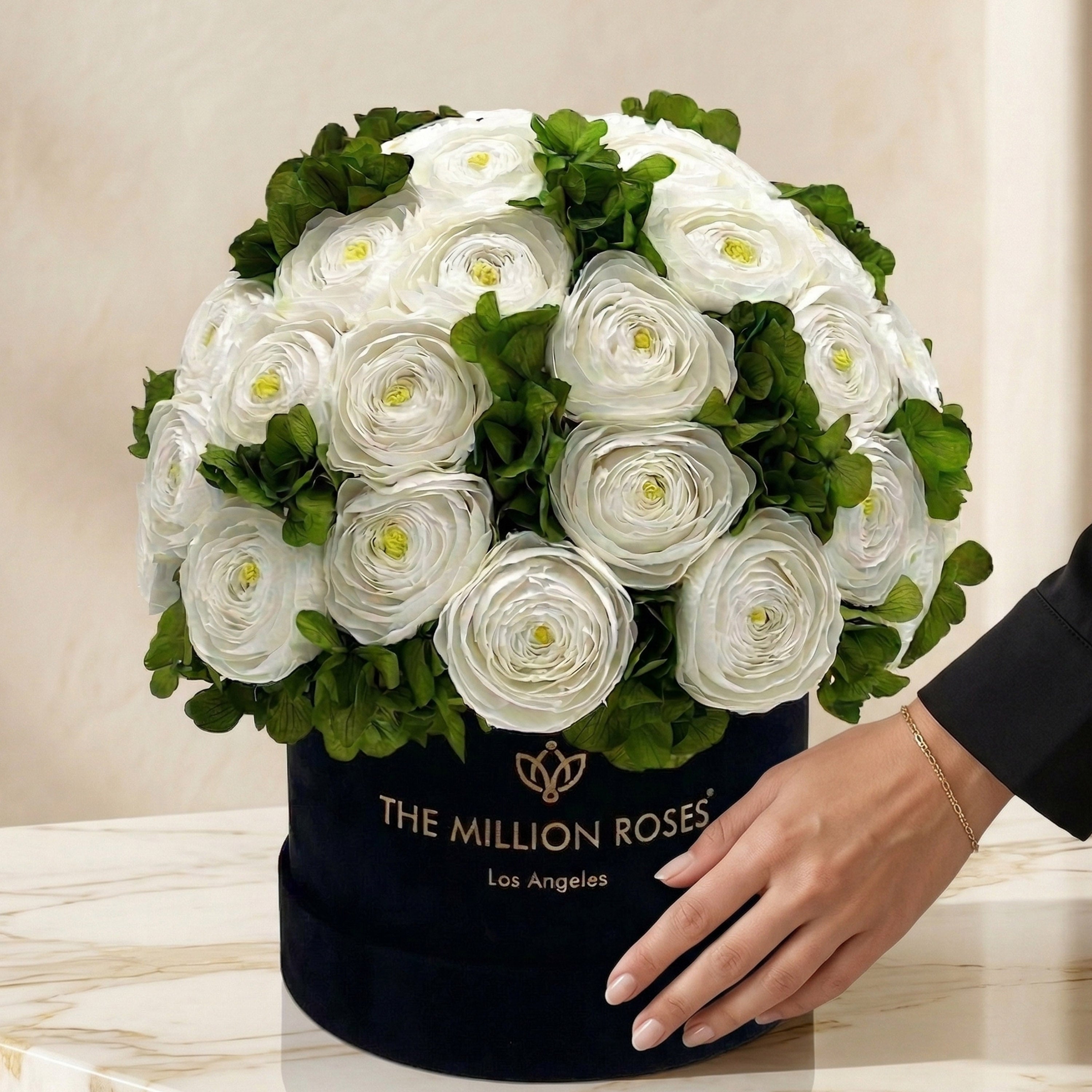 Classic Black Box | White Persian Buttercups & Green Hydrangeas