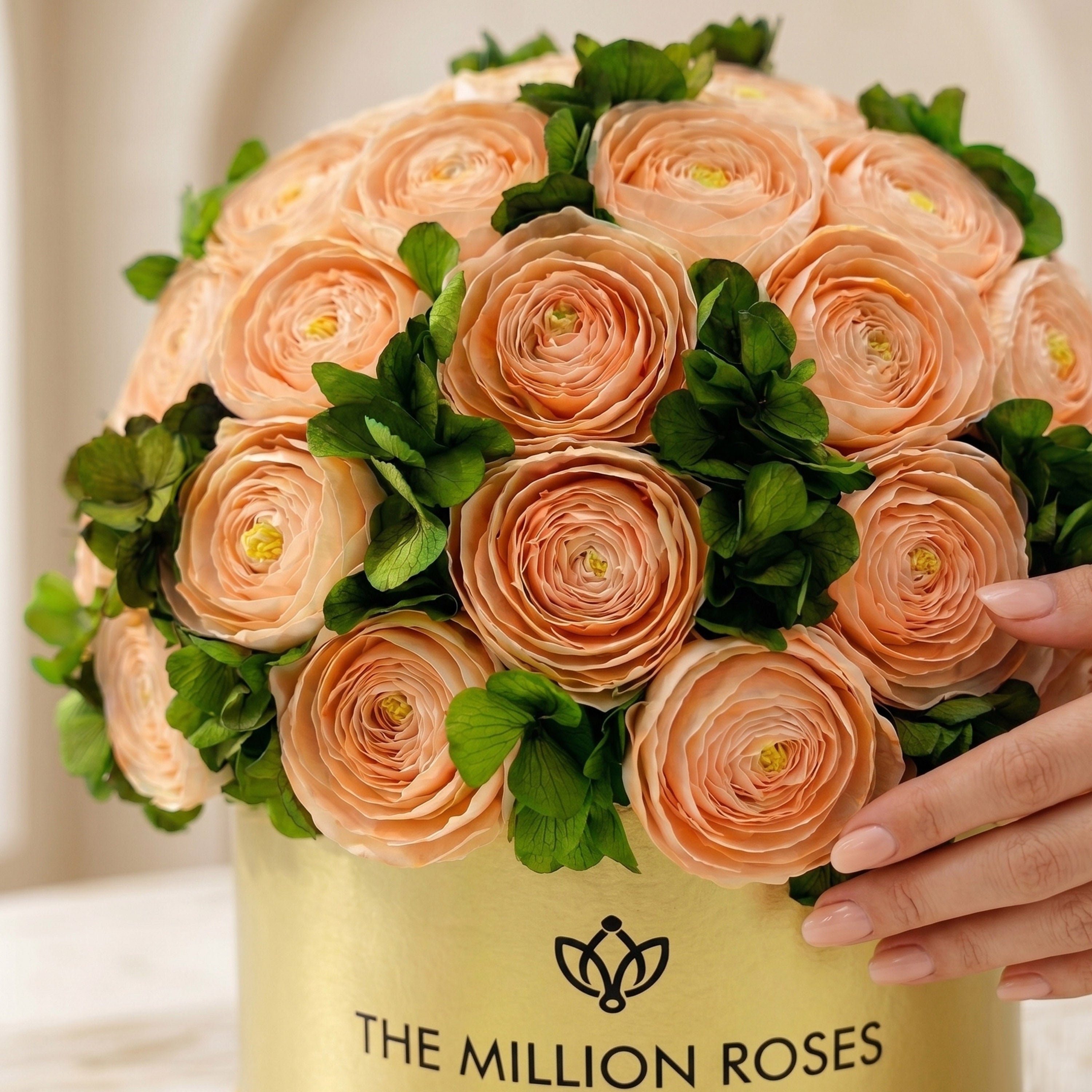 Classic Mirror Gold Box | Peach Persian Buttercups & Green Hydrangeas