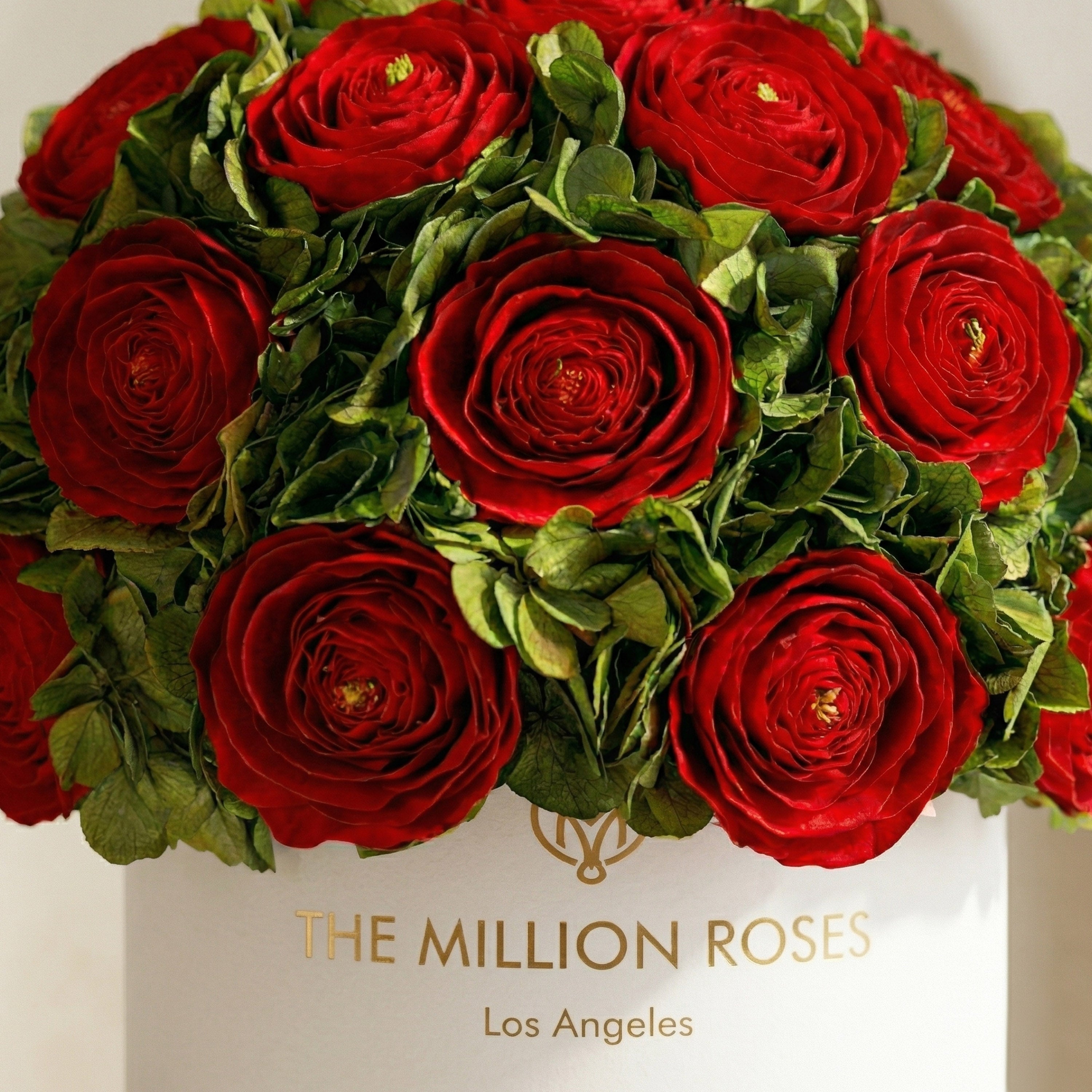 Classic White Box | Red Persian Buttercups & Green Hydrangeas