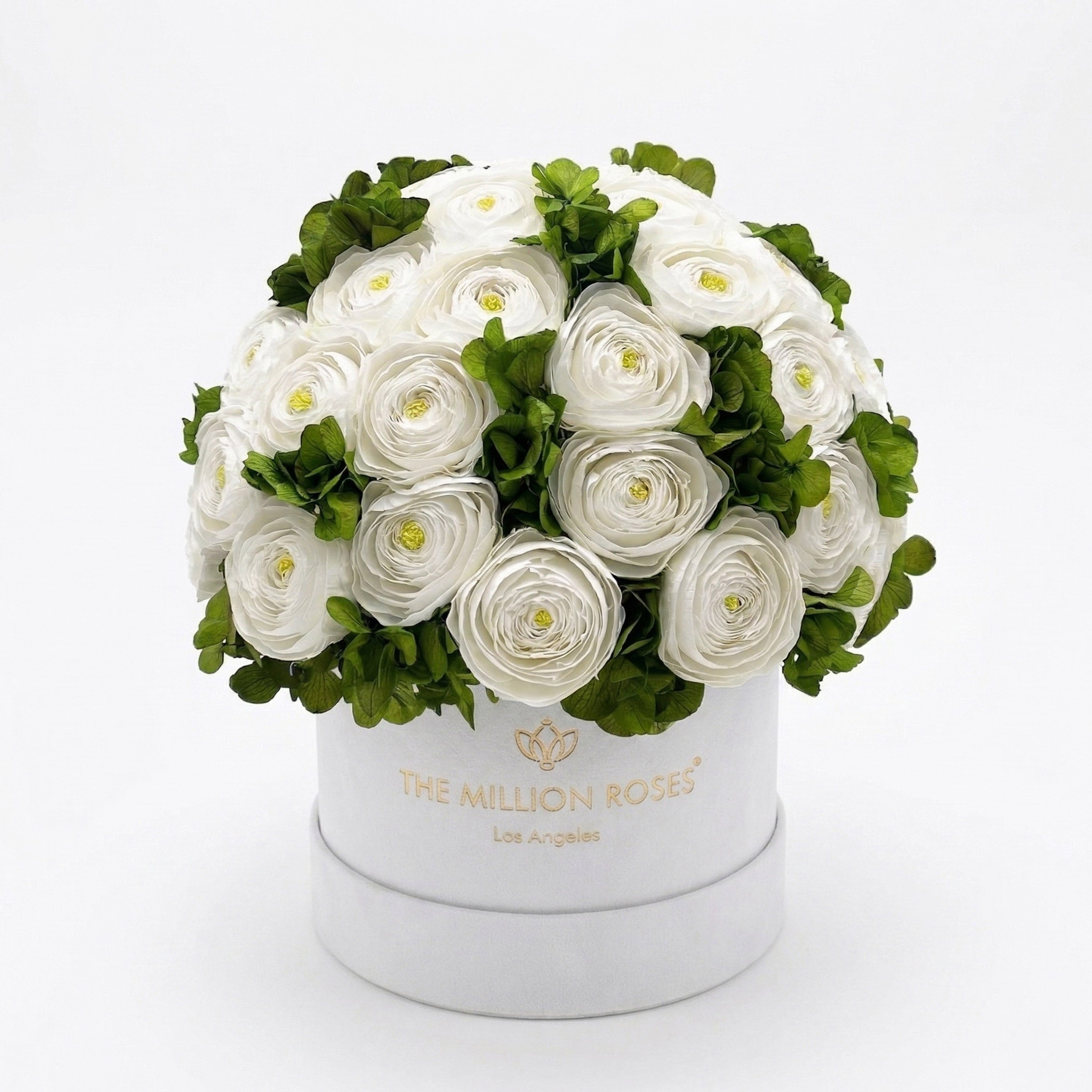 Caja blanca clásica | Ranúnculos persas blancos y hortensias verdes