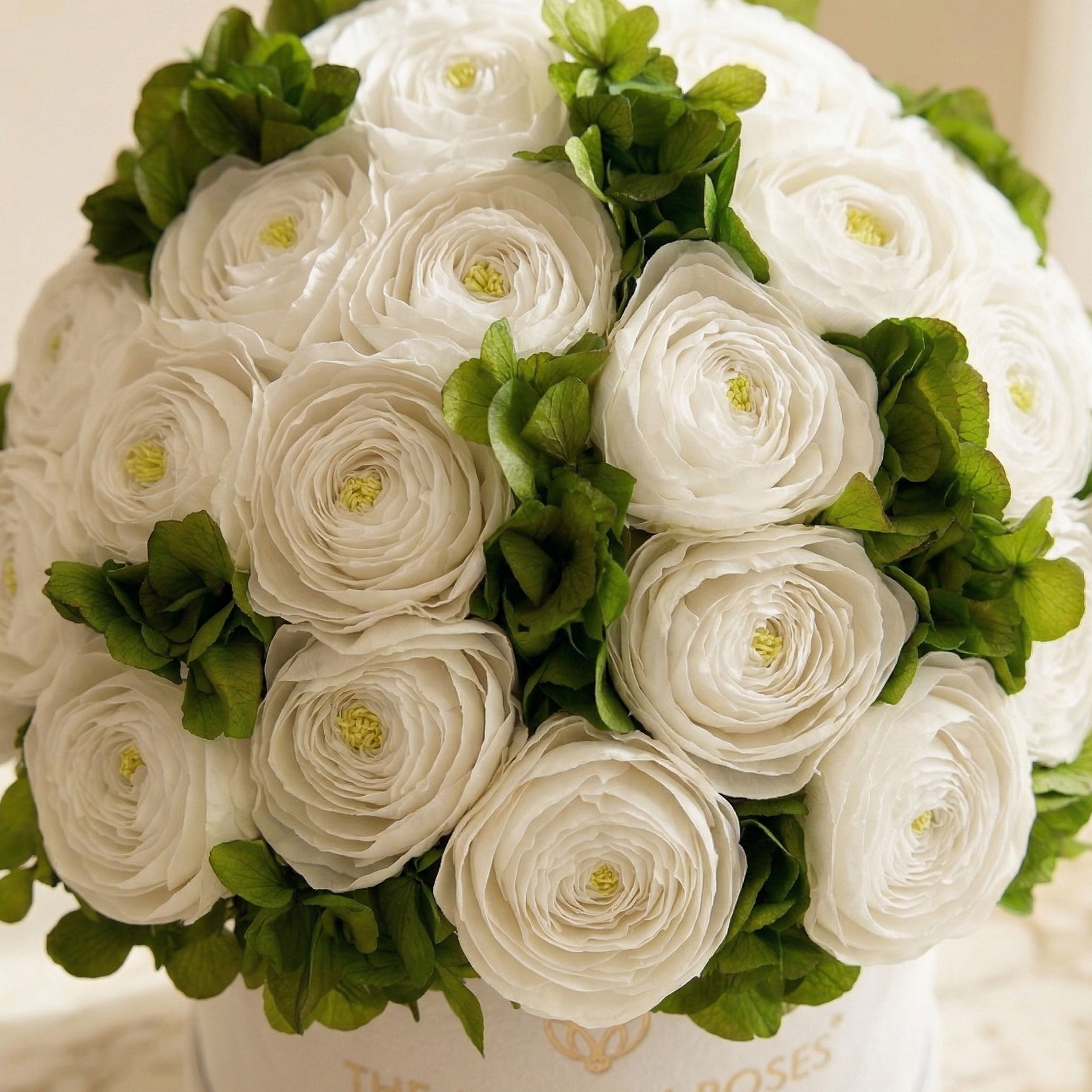 Classic White Box | White Persian Buttercups & Green Hydrangeas