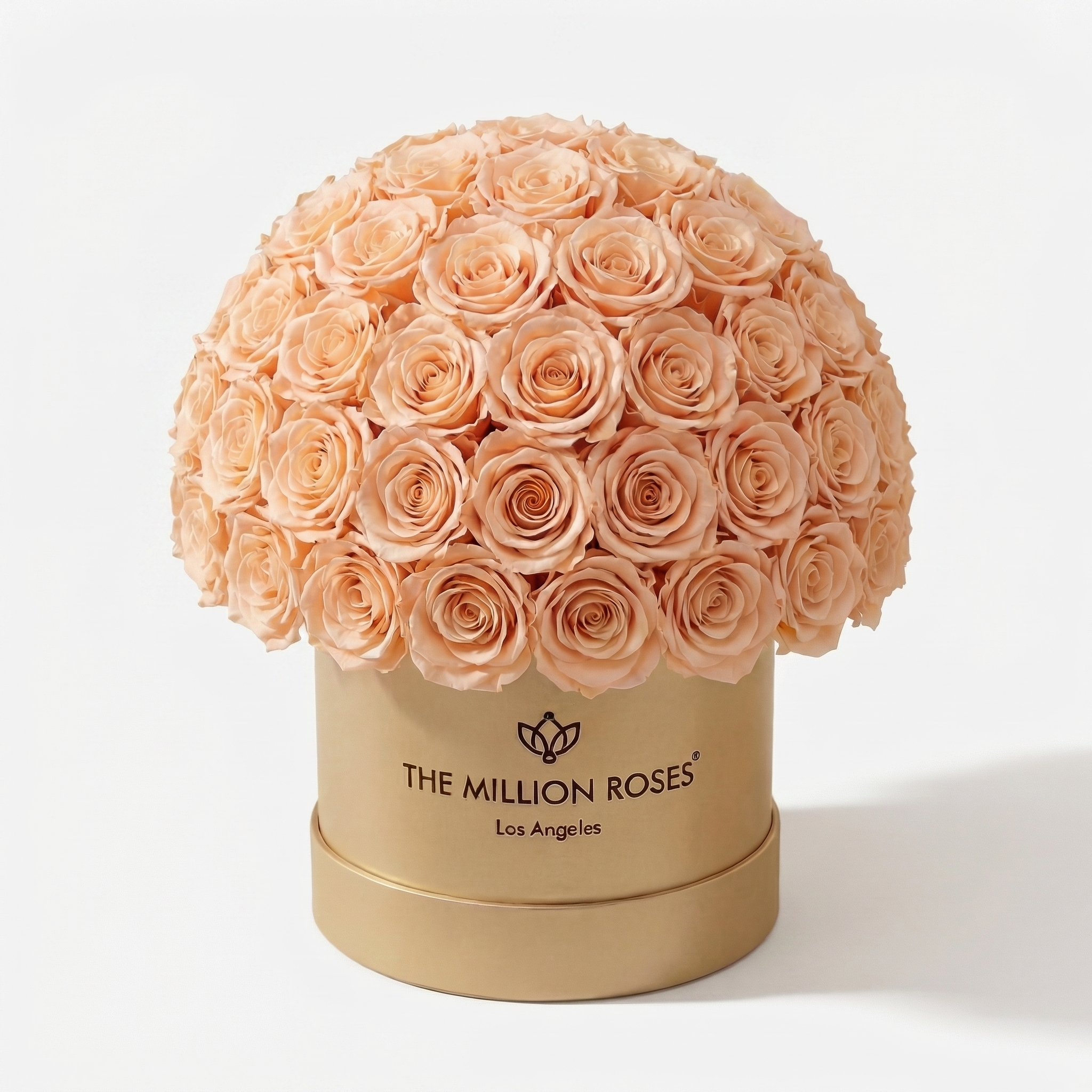 Classic Gold Superdome Box | Peach Roses