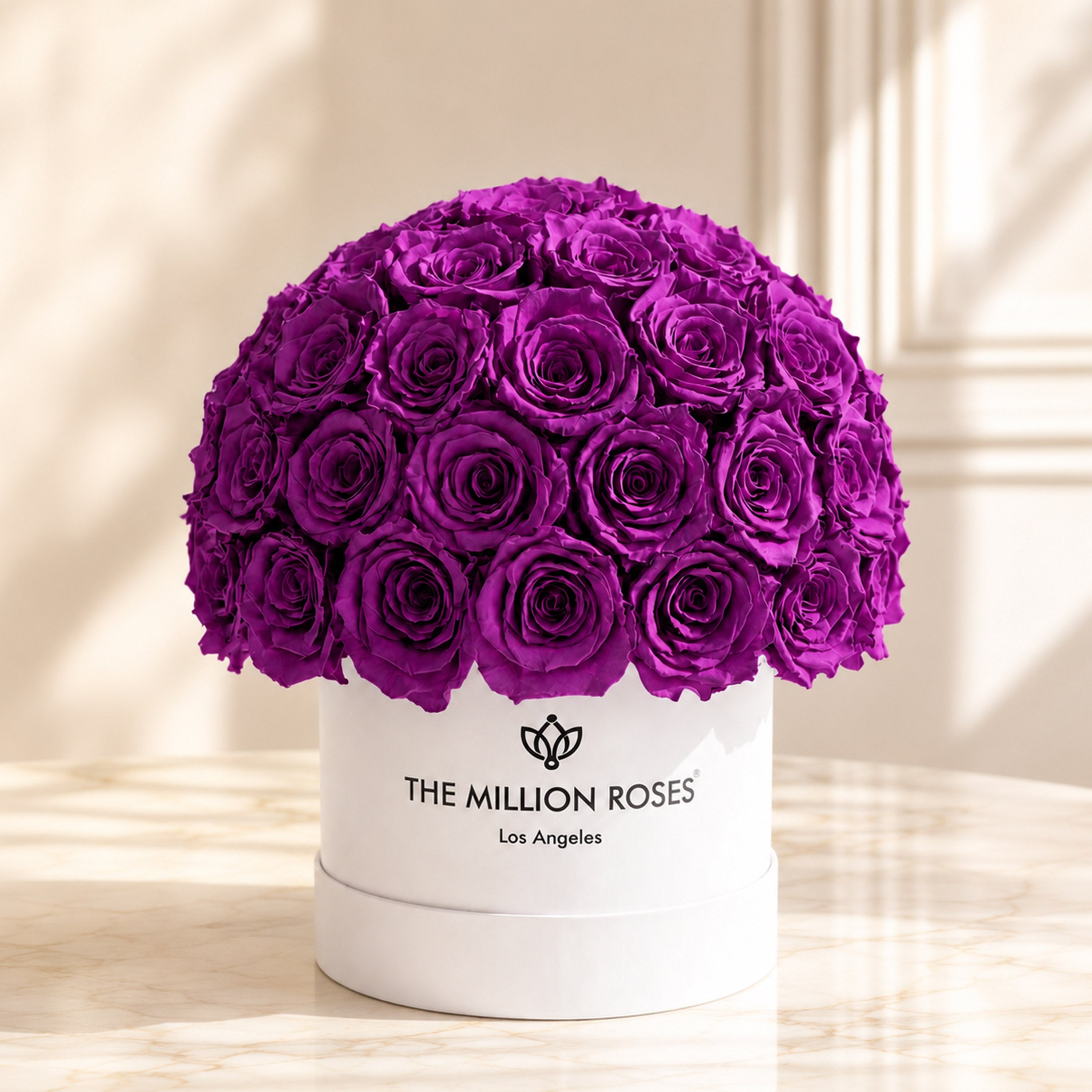 Classic White Superdome Box | Bright Purple Roses