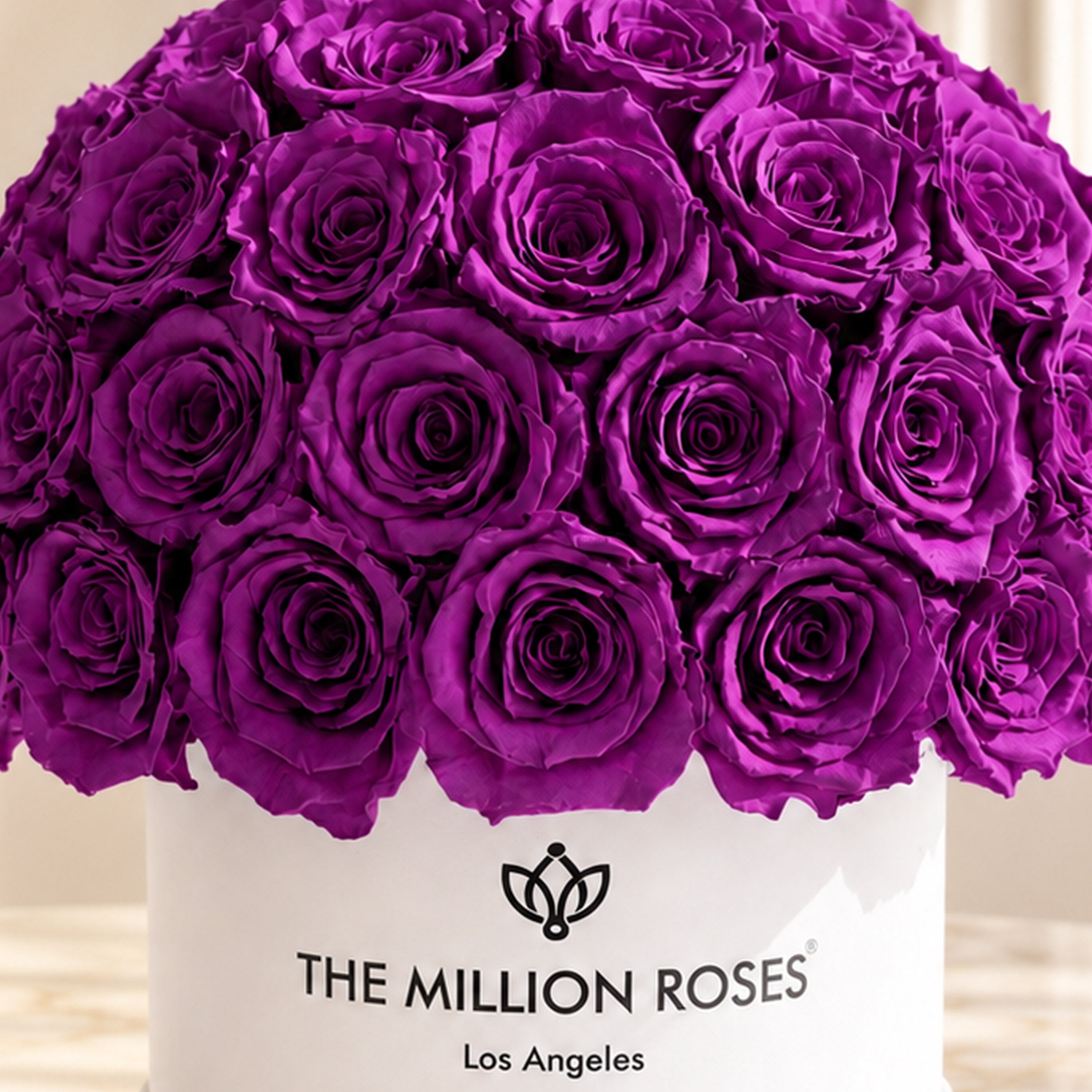 Classic White Superdome Box | Bright Purple Roses