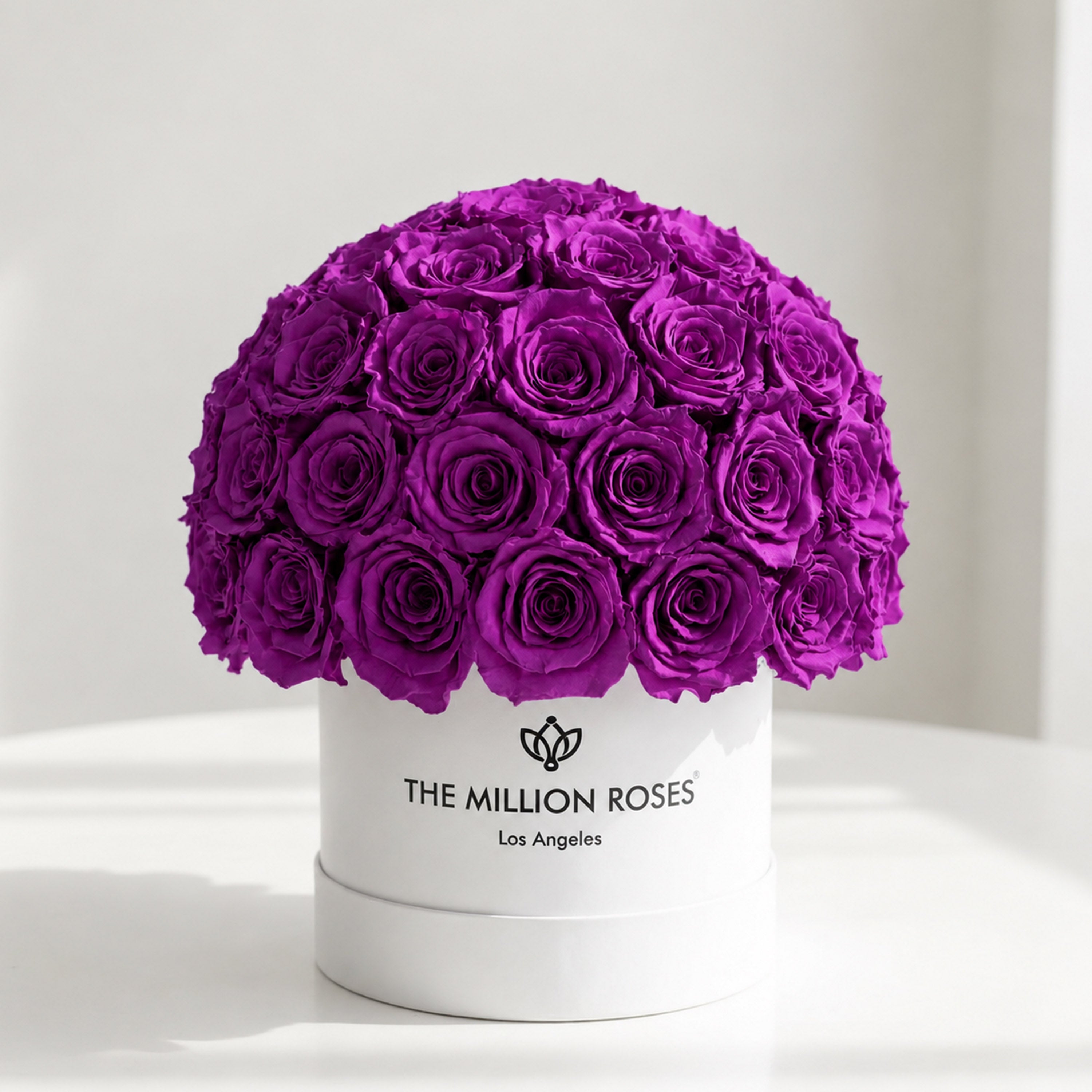 Classic White Superdome Box | Bright Purple Roses