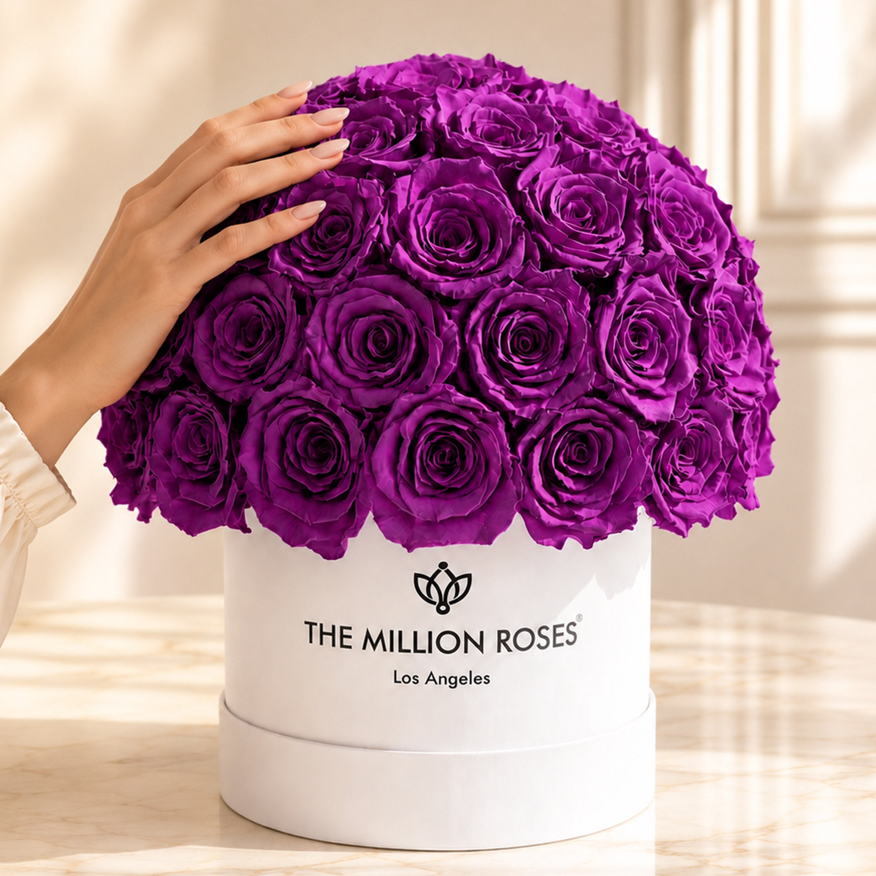 Classic White Superdome Box | Bright Purple Roses