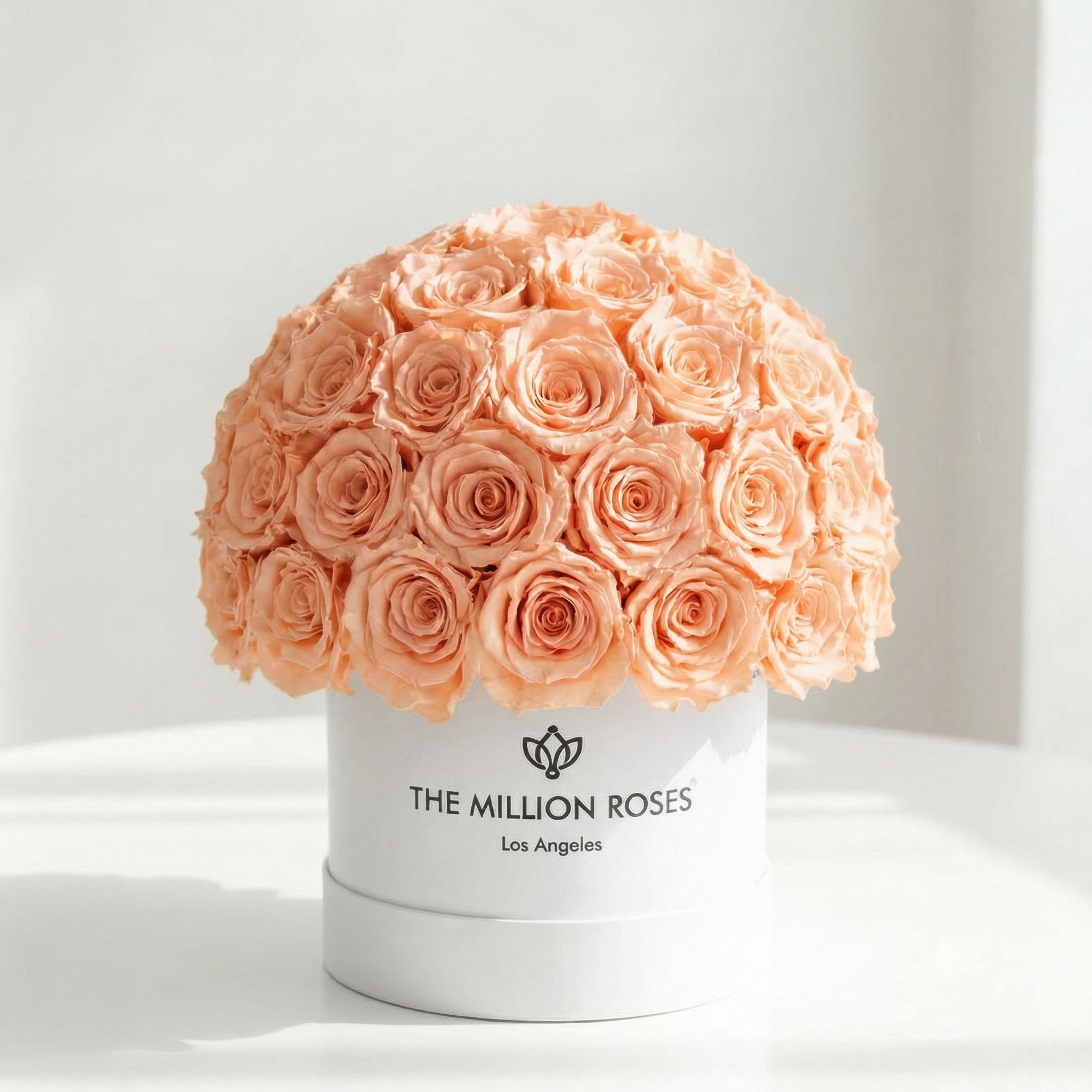 Classic White Superdome Box | Peach Roses