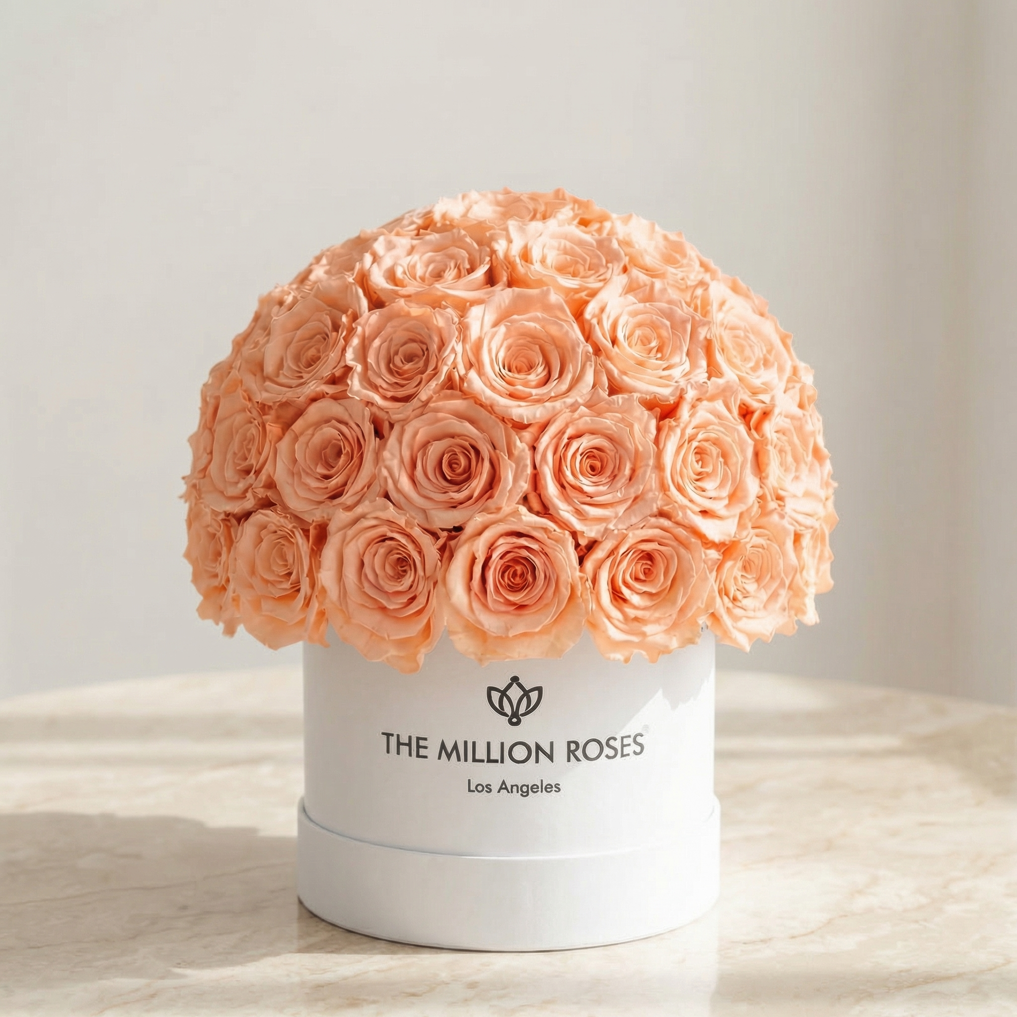 Classic White Superdome Box | Peach Roses