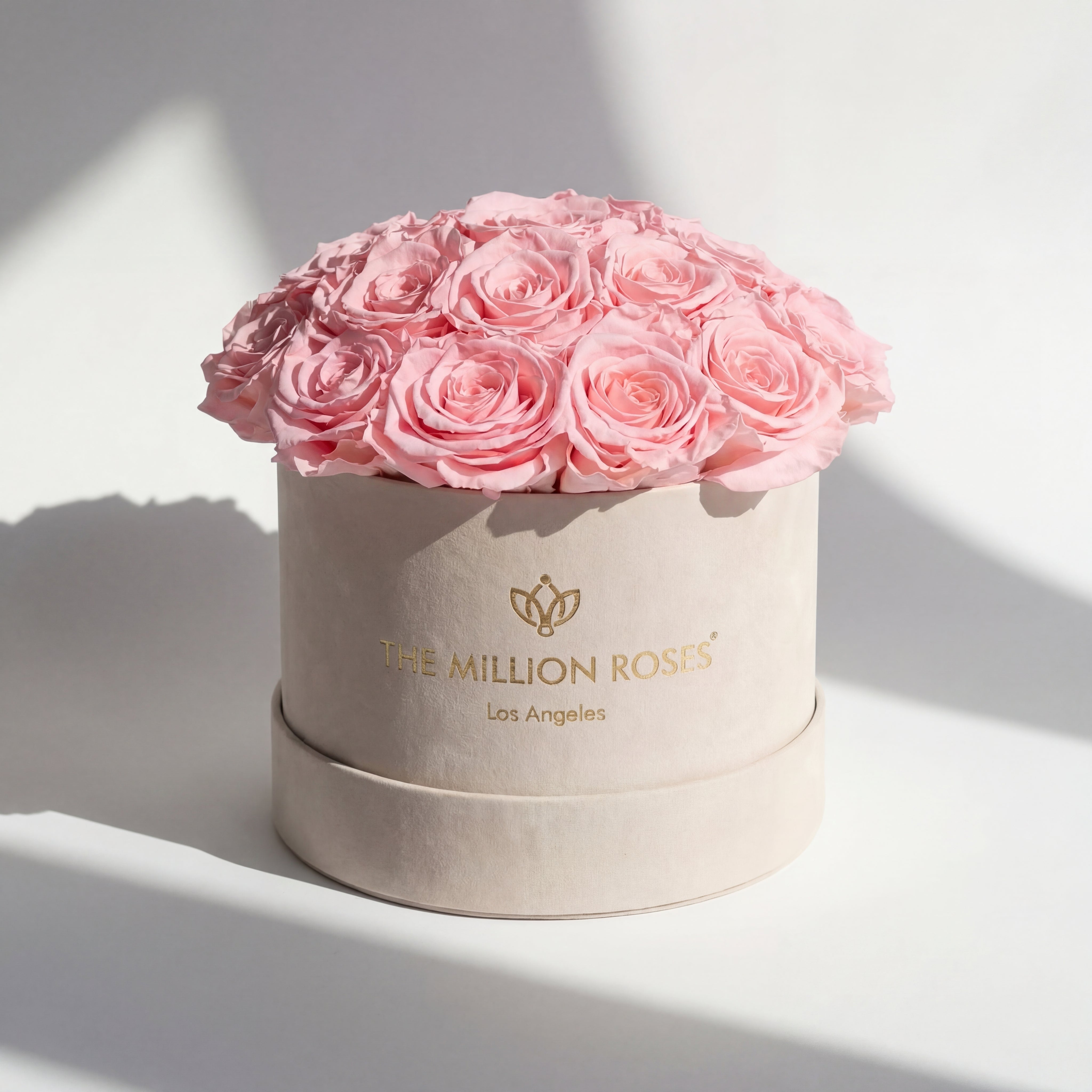 Classic Beige Suede Dome Box | Light Pink Roses