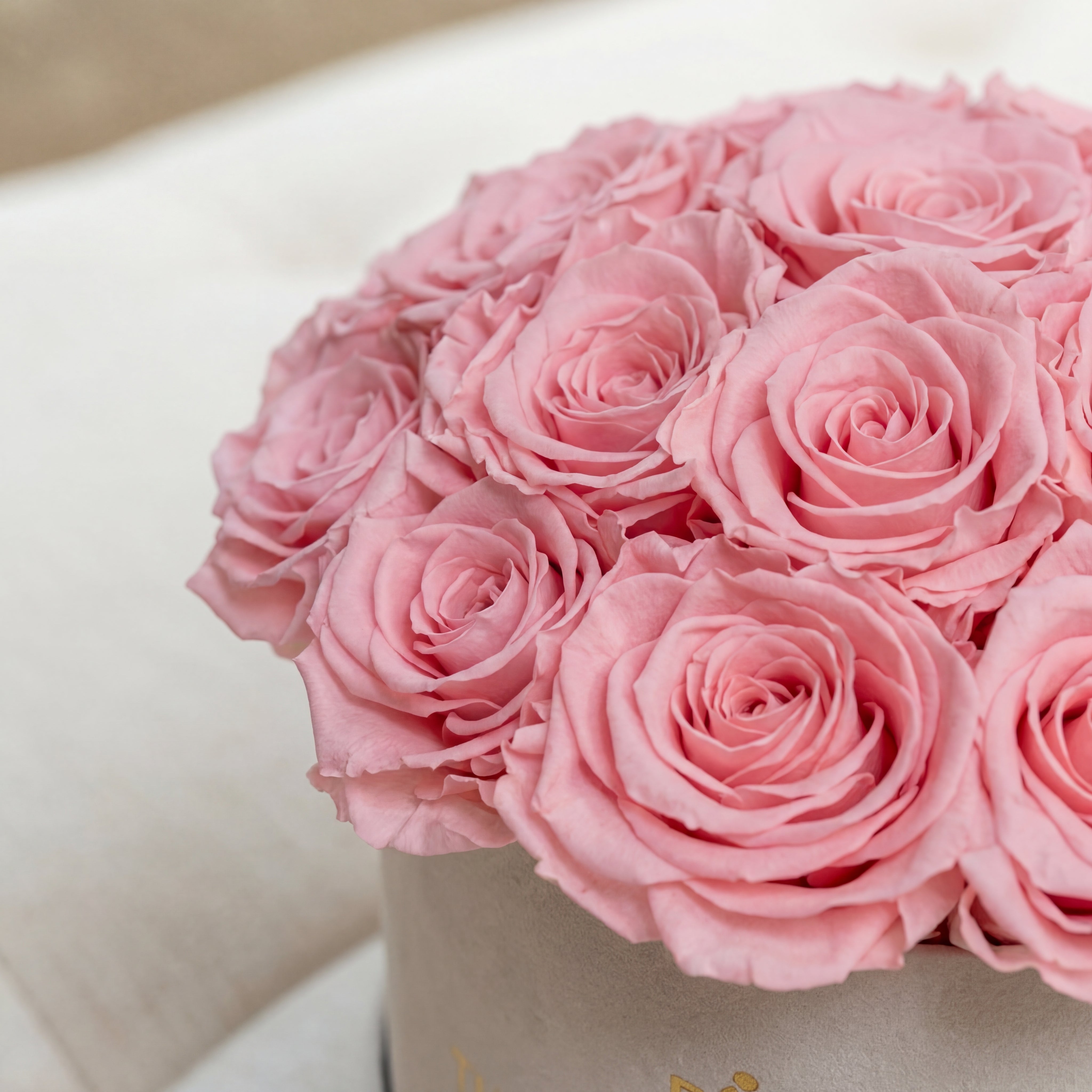 Classic Beige Suede Dome Box | Light Pink Roses
