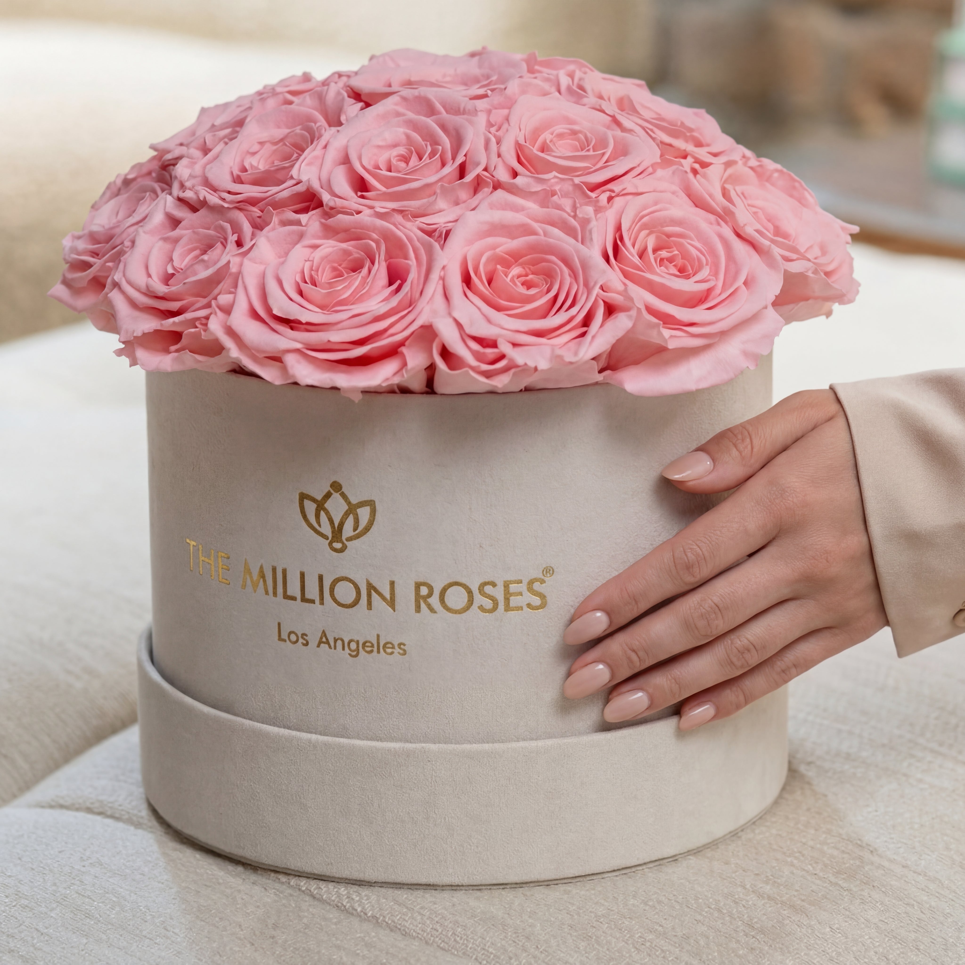 Classic Beige Suede Dome Box | Light Pink Roses