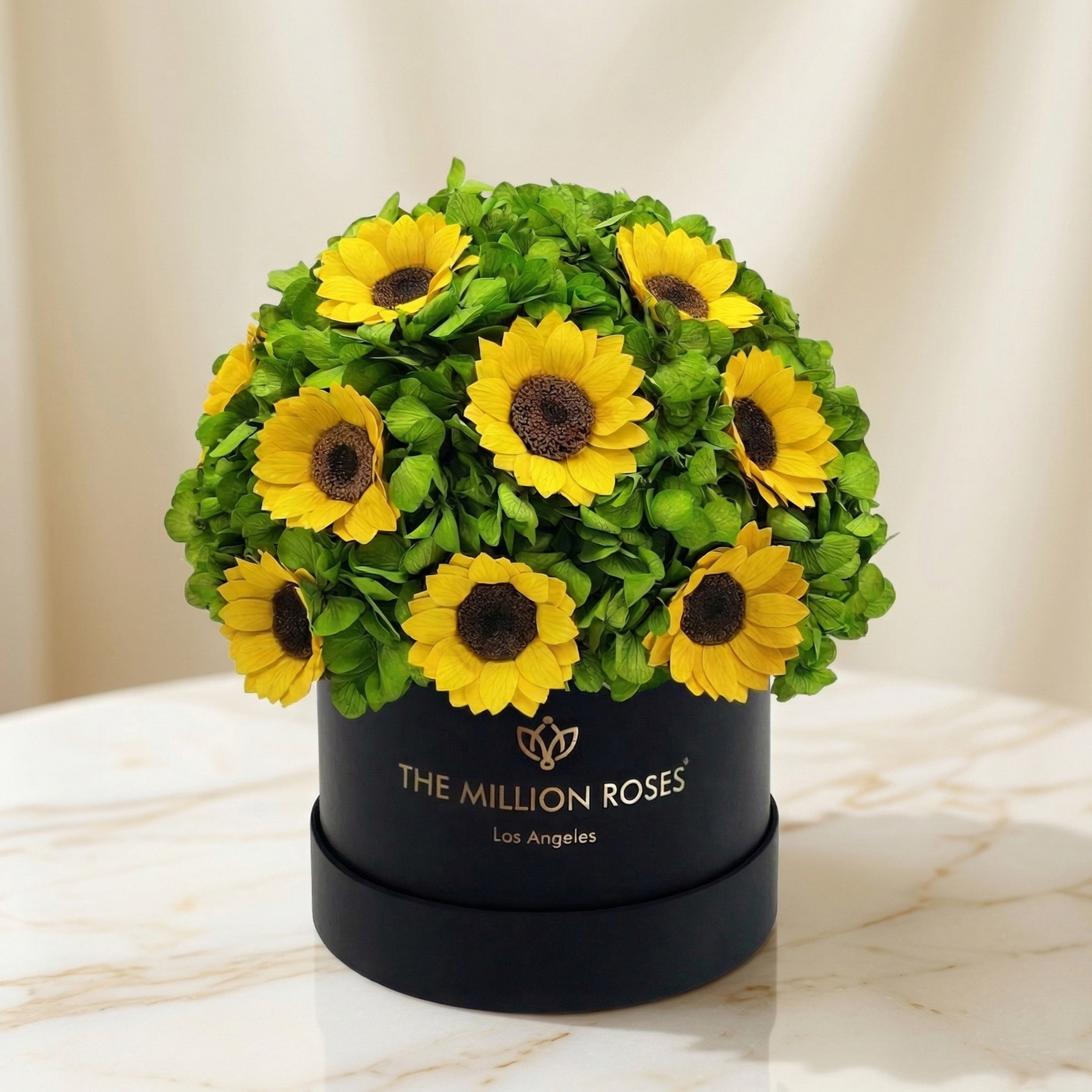 Classic Black Box | Green Hydrangeas & Sunflowers
