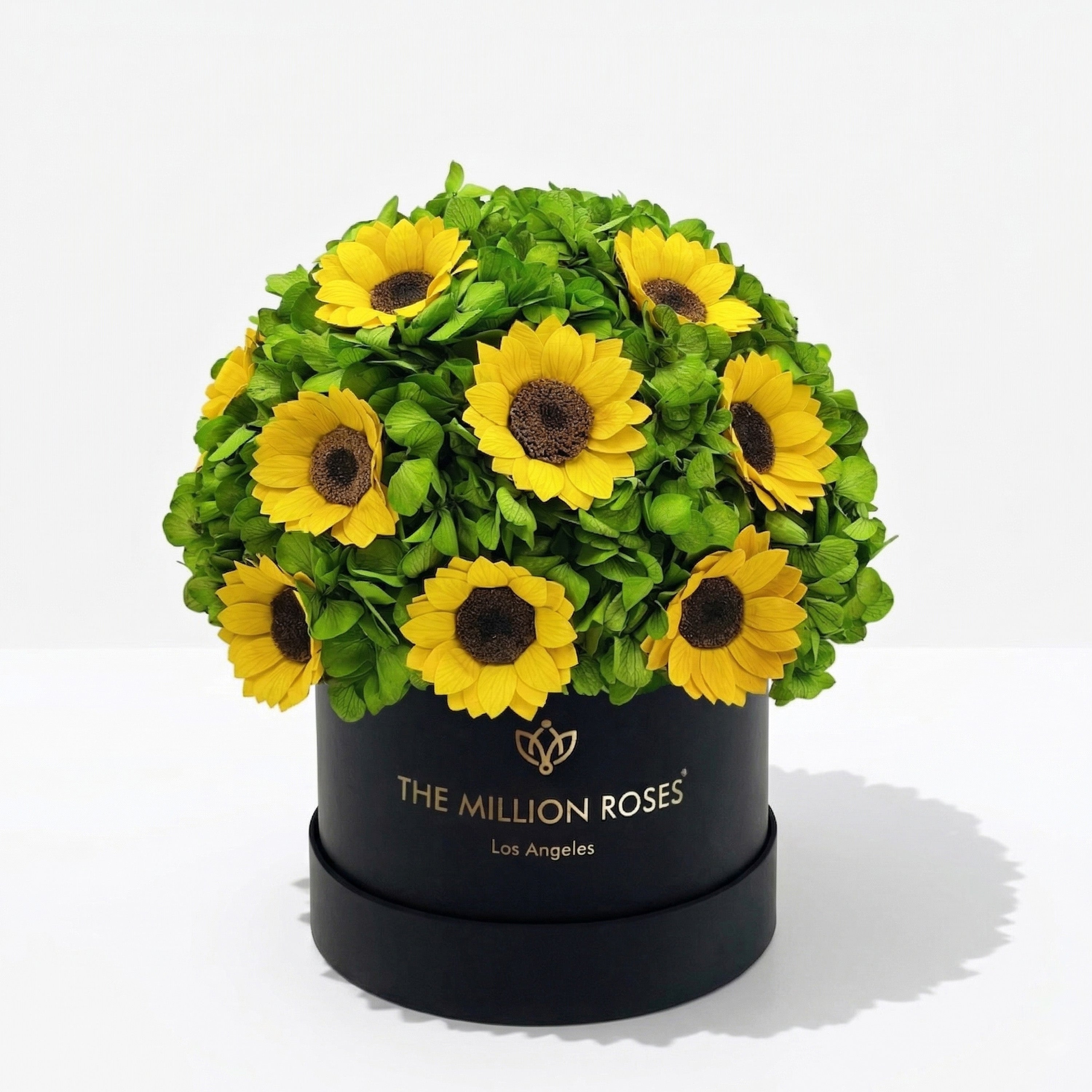 Classic Black Box | Green Hydrangeas & Sunflowers