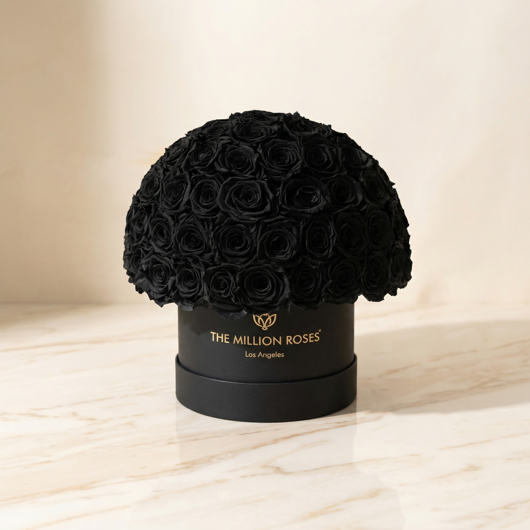 Caja Superdome Negra Clásica | Rosas rojas