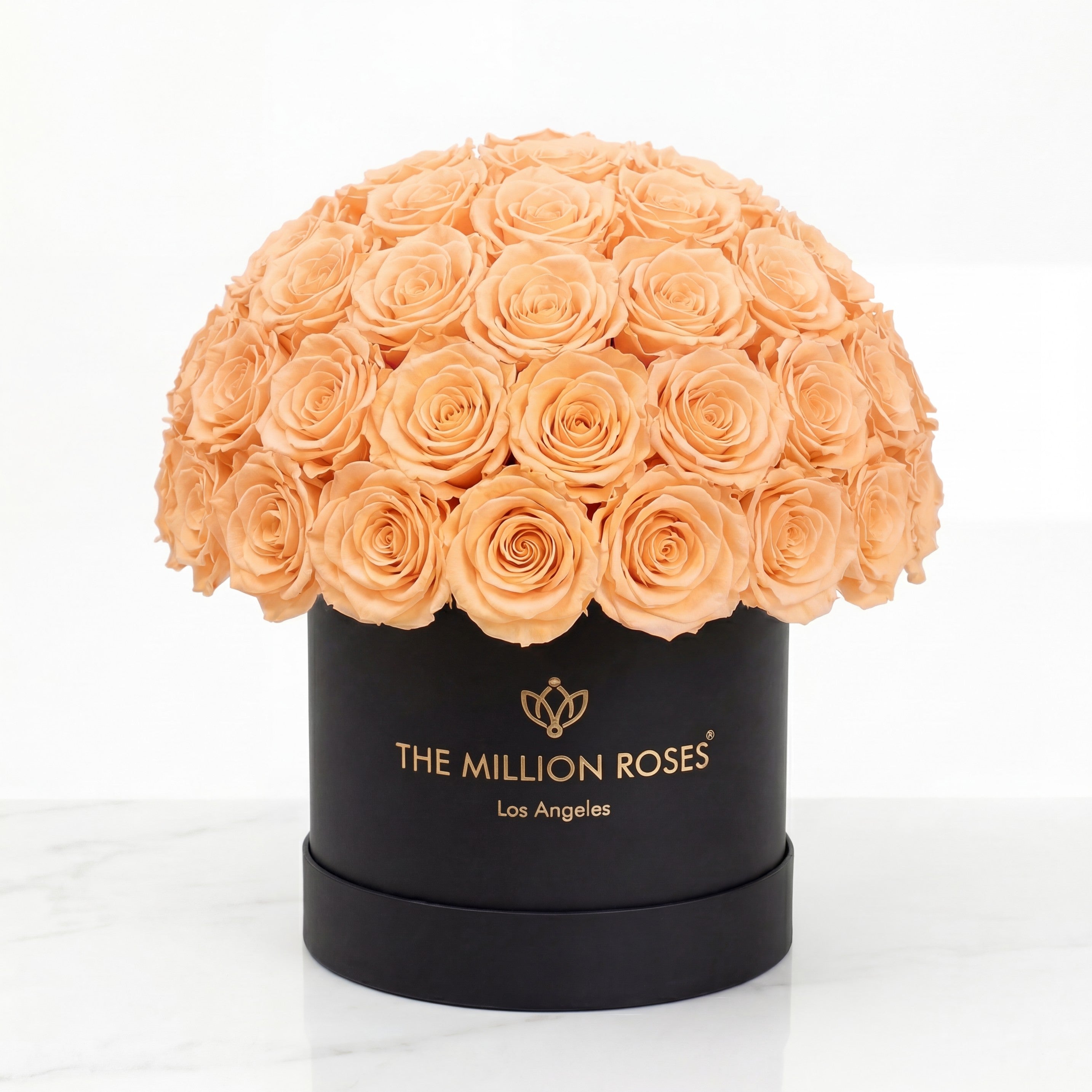 Classic Black Superdome Box | Peach Roses