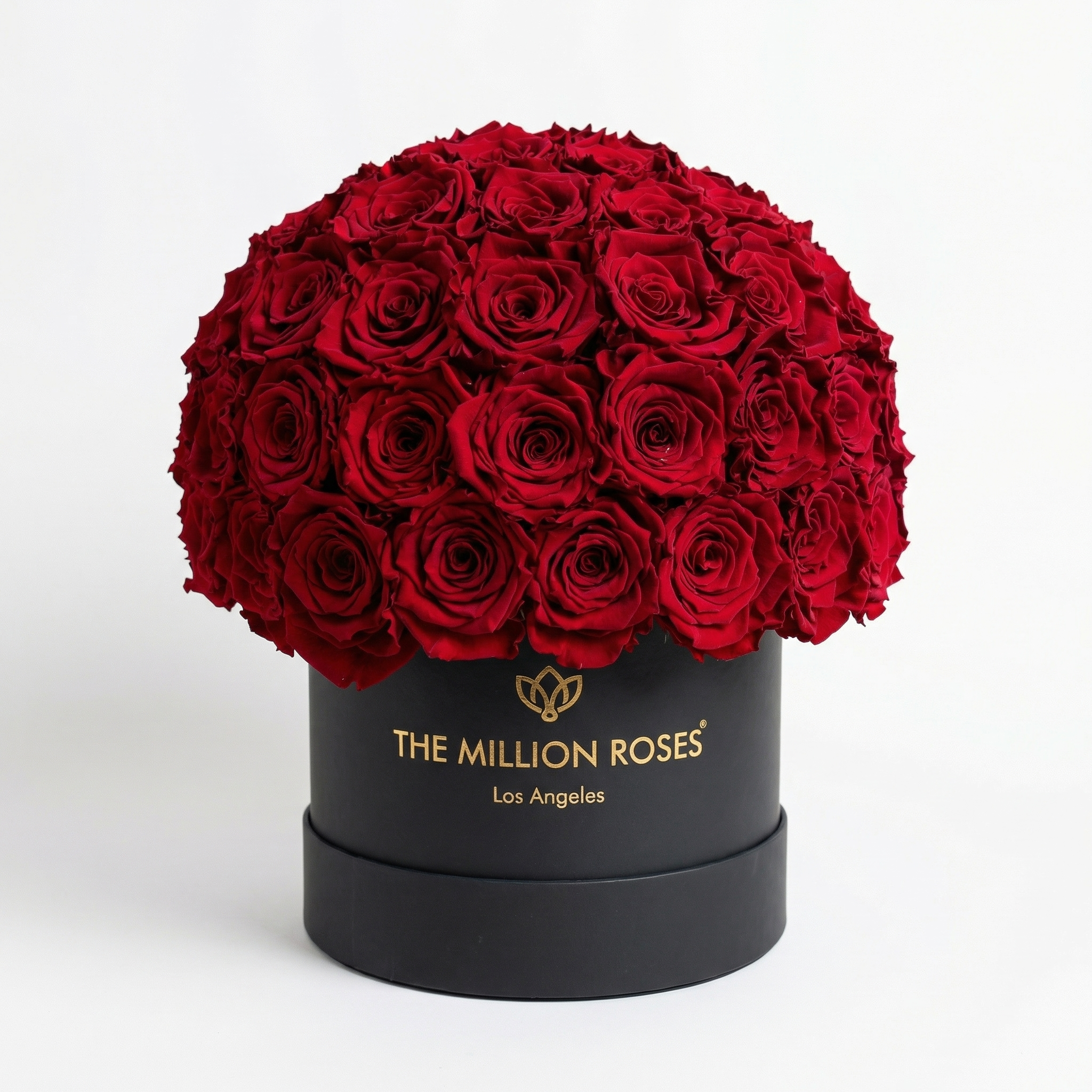 Classic Black Superdome Box | Red Roses