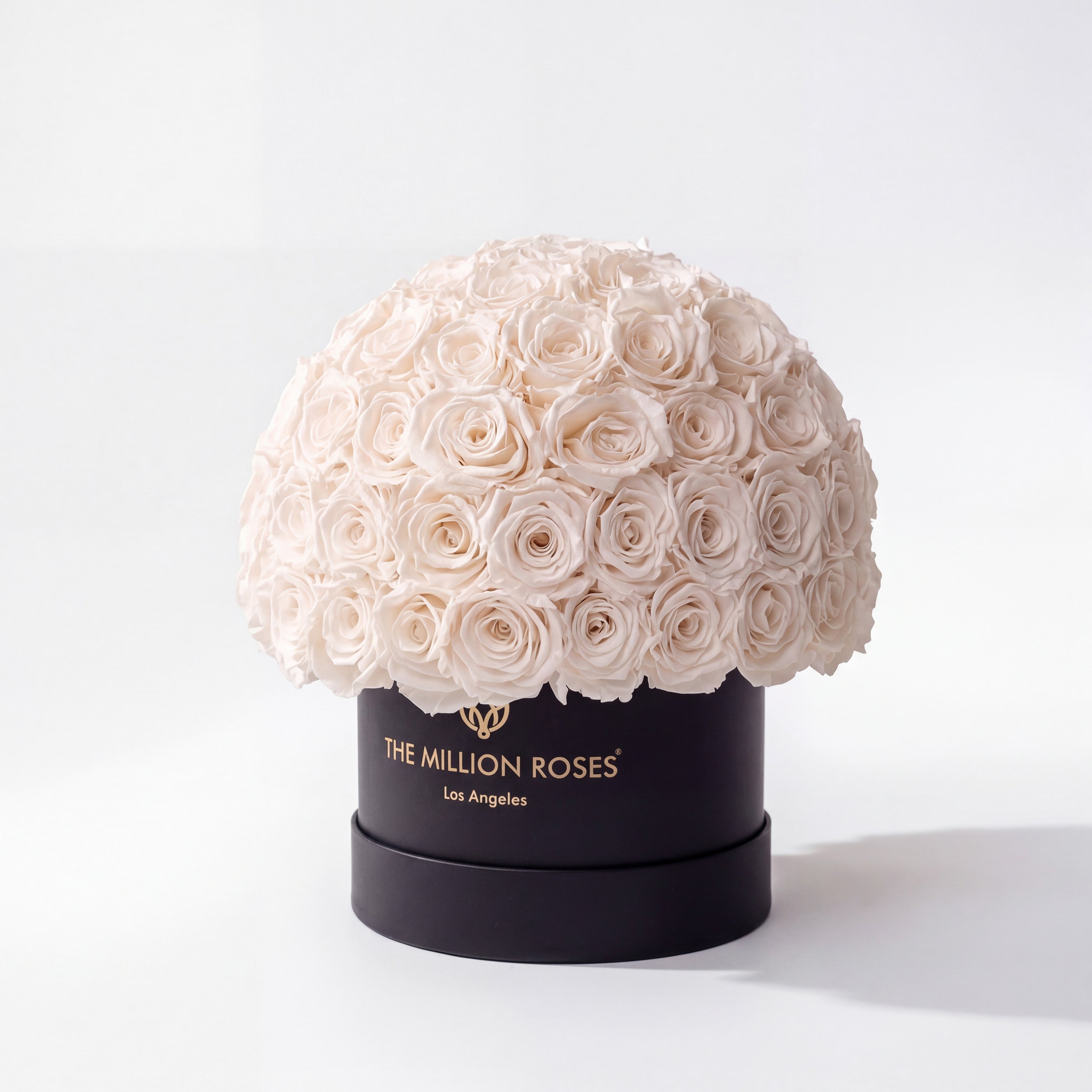Classic Black Superdome Box | White Roses
