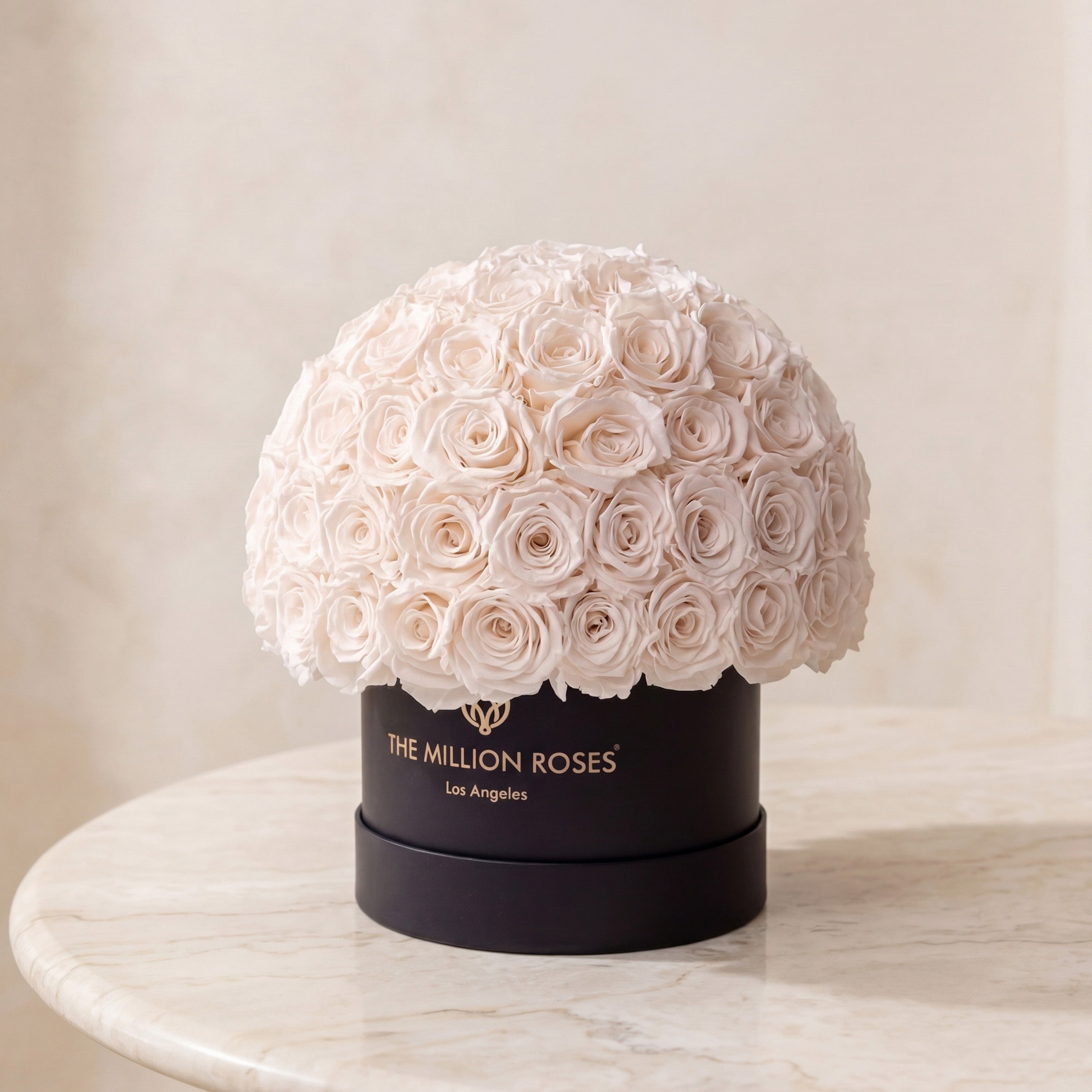 Classic Black Superdome Box | White Roses