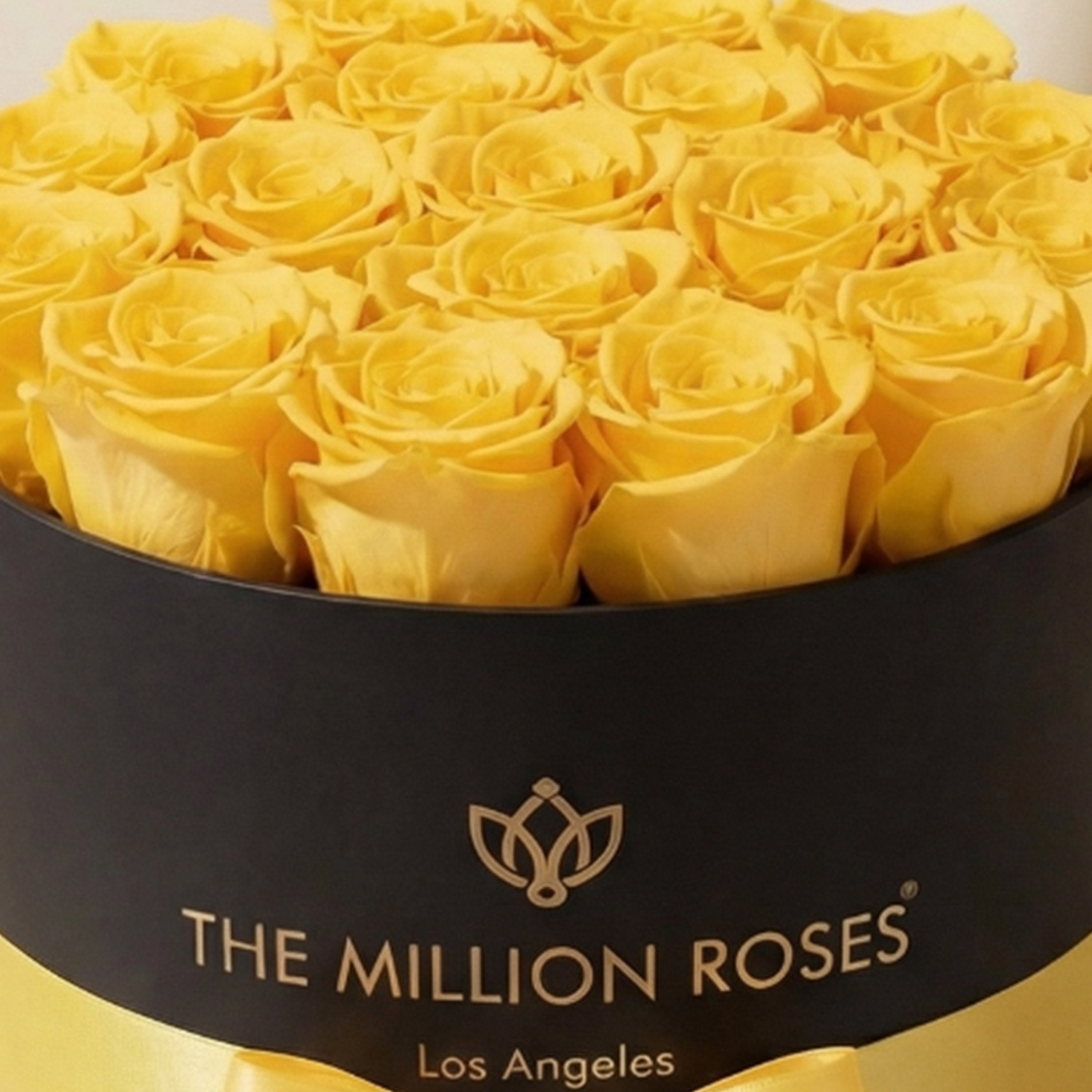 Classic Black Box | Yellow Roses