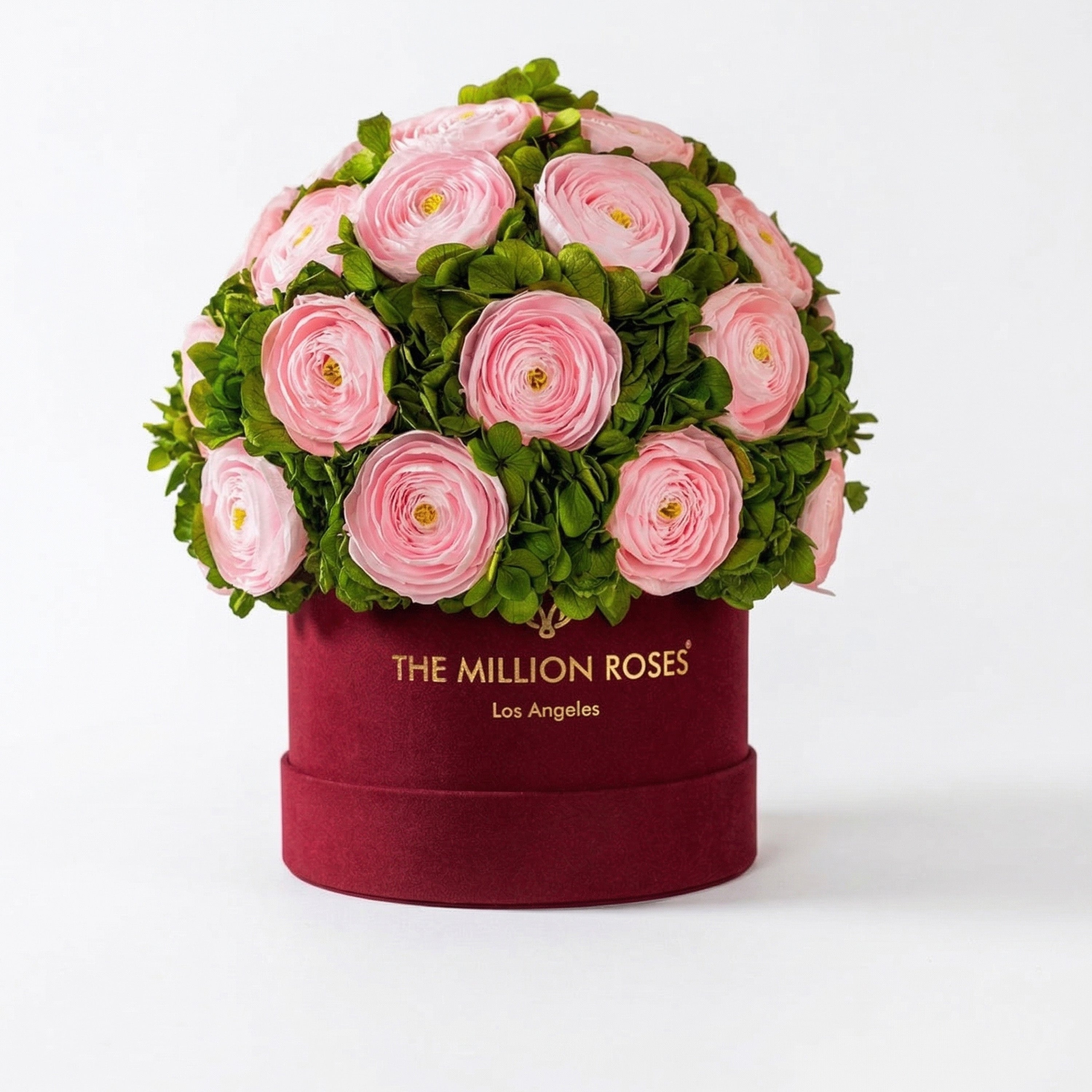 Classic Bordeaux Suede Box | Light Pink Persian Buttercups & Green Hydrangeas