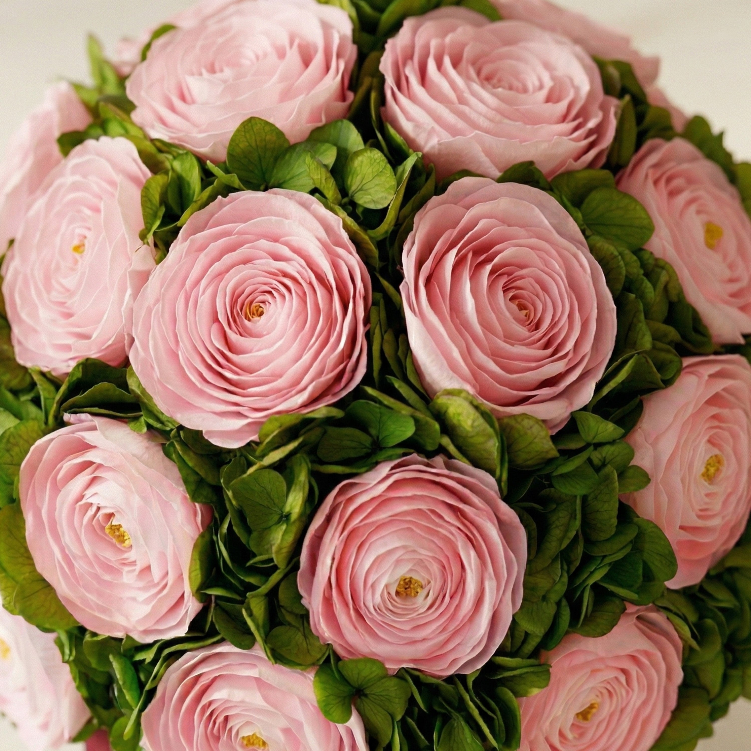 Classic Bordeaux Suede Box | Light Pink Persian Buttercups & Green Hydrangeas