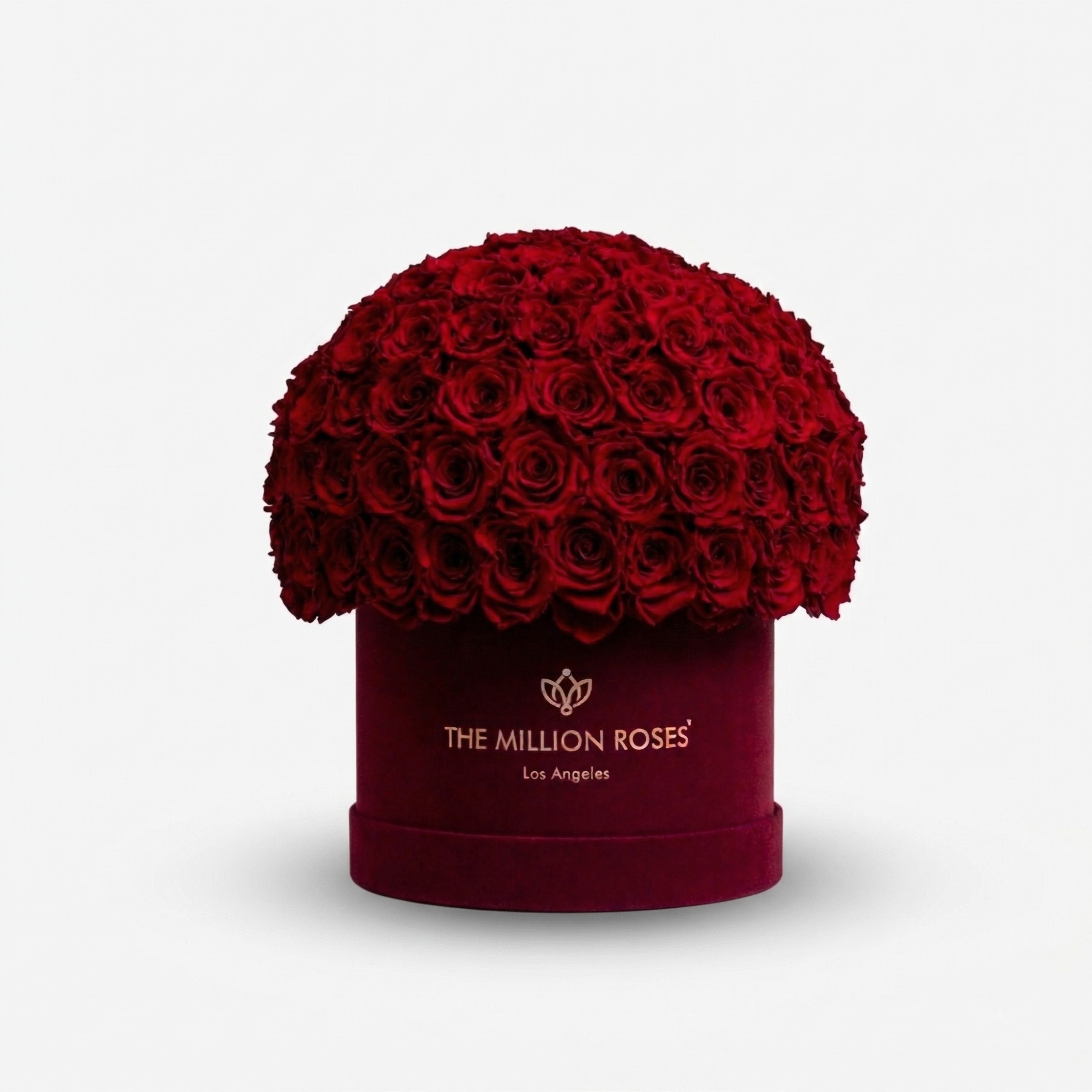 Classic Bordeaux Suede Superdome Box | Red Roses