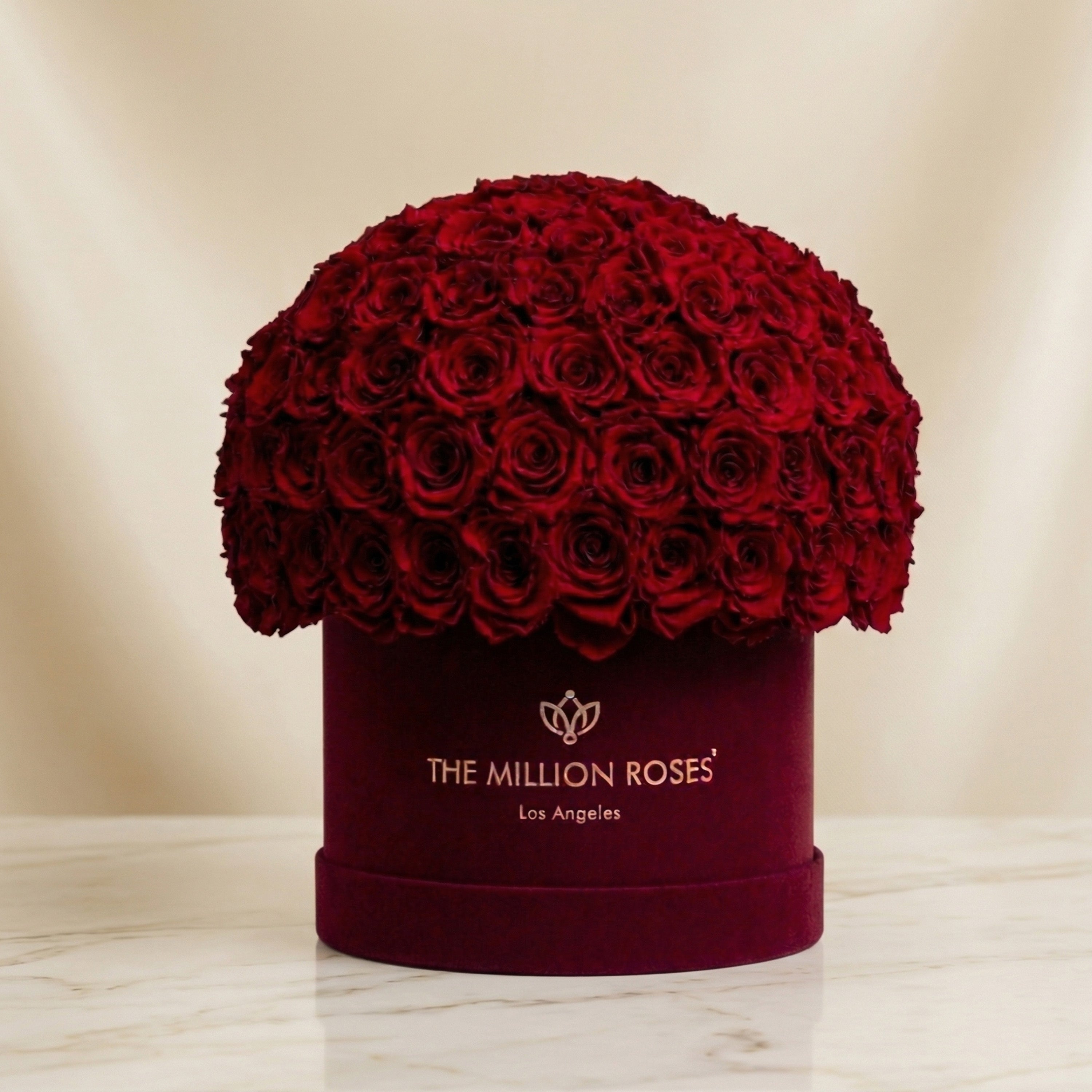 Classic Bordeaux Suede Superdome Box | Red Roses