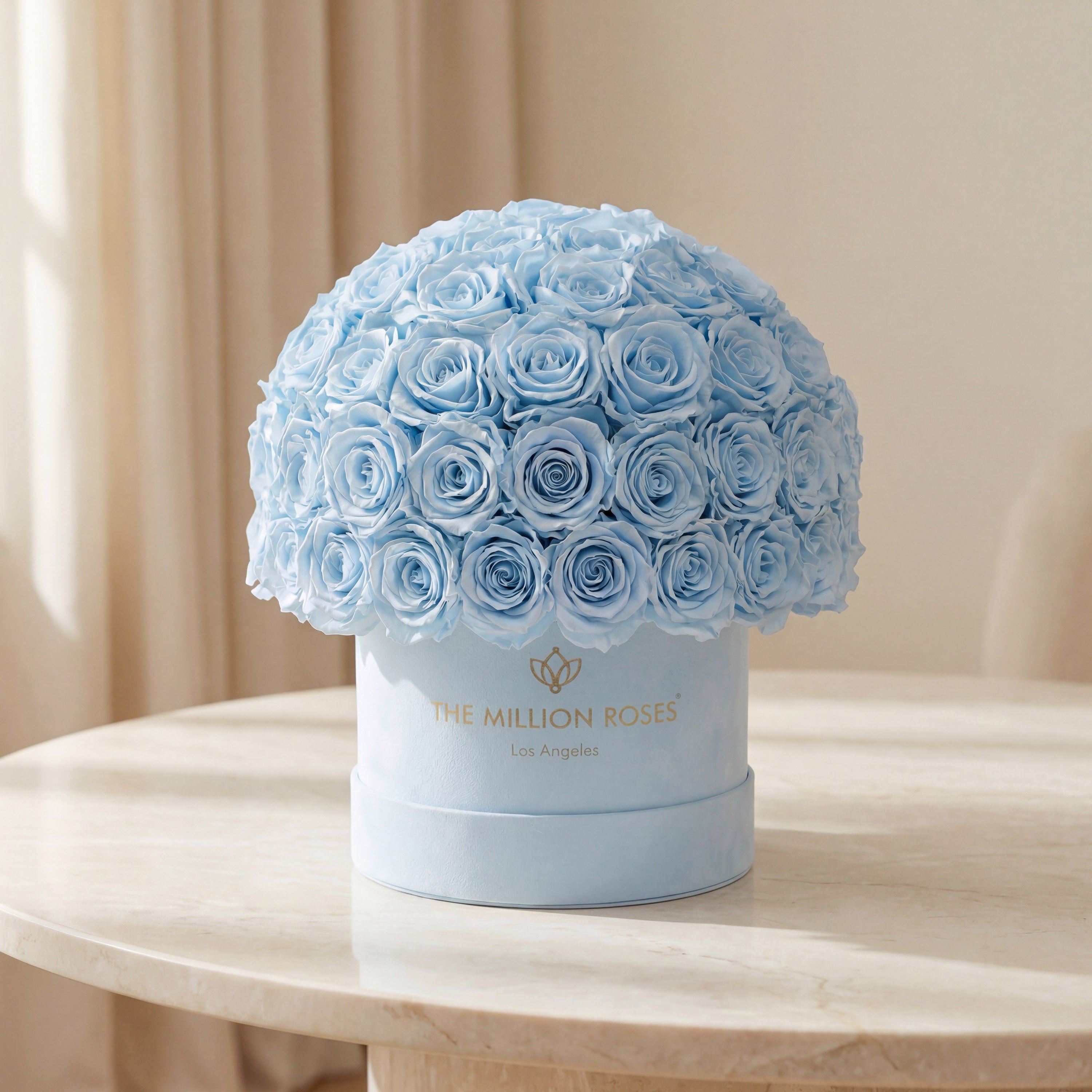 アトリエgg Blue Roseサイズ19ハーフ Classic Light Blue Suede Superdome Box | Light Blue Roses