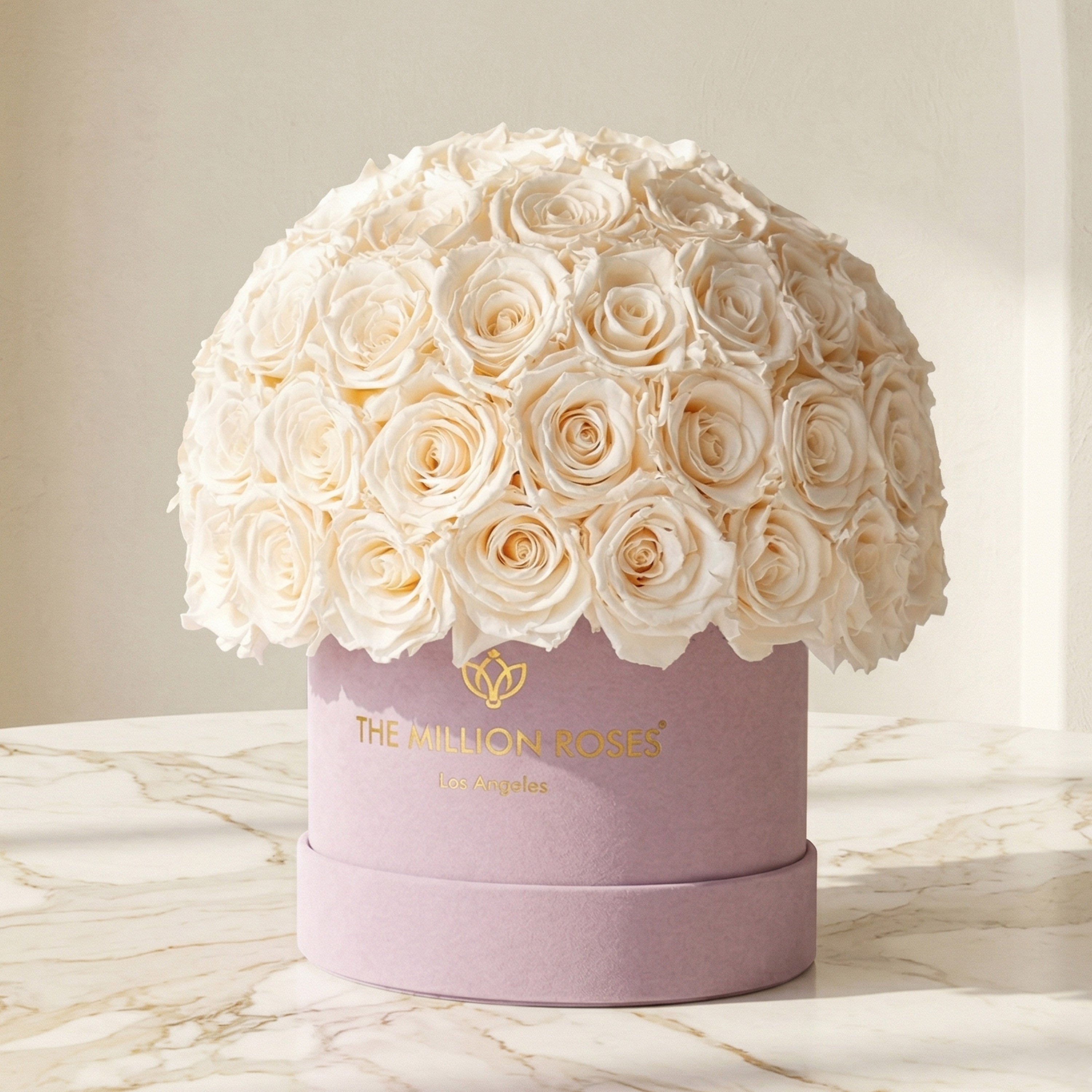 Classic Light Pink Suede Superdome Box | White Roses