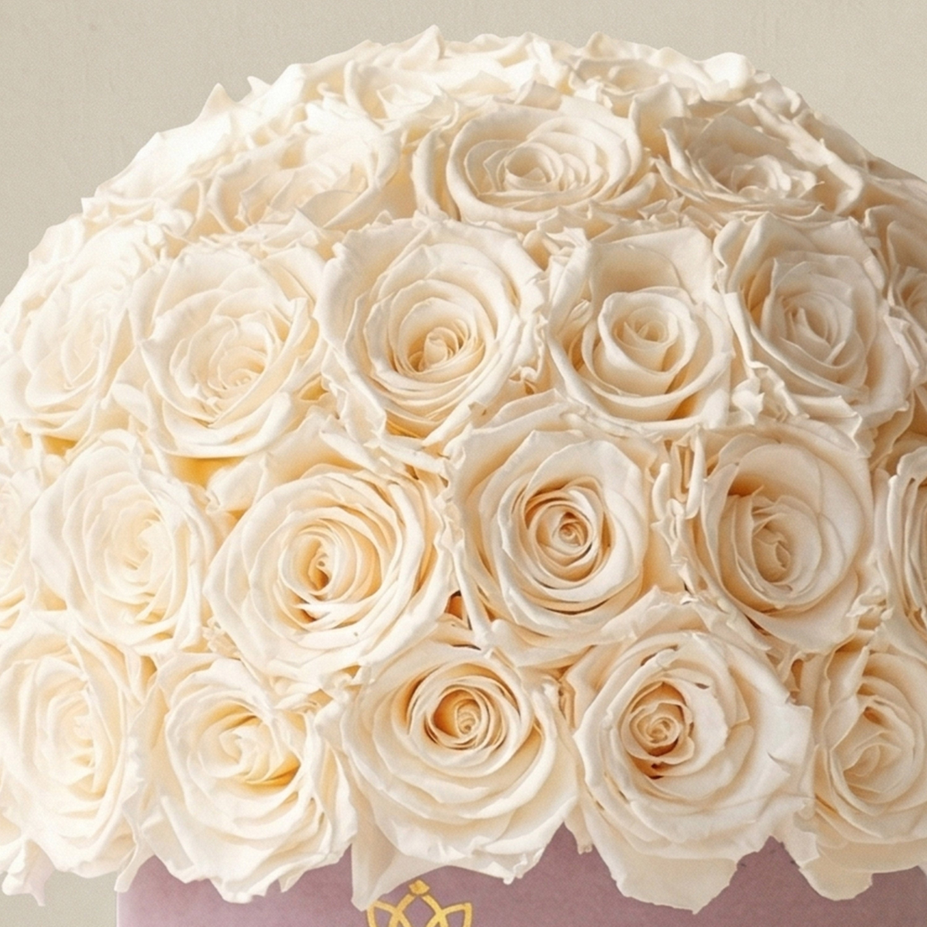Boîte Superdome classique en daim rose clair | Roses blanches