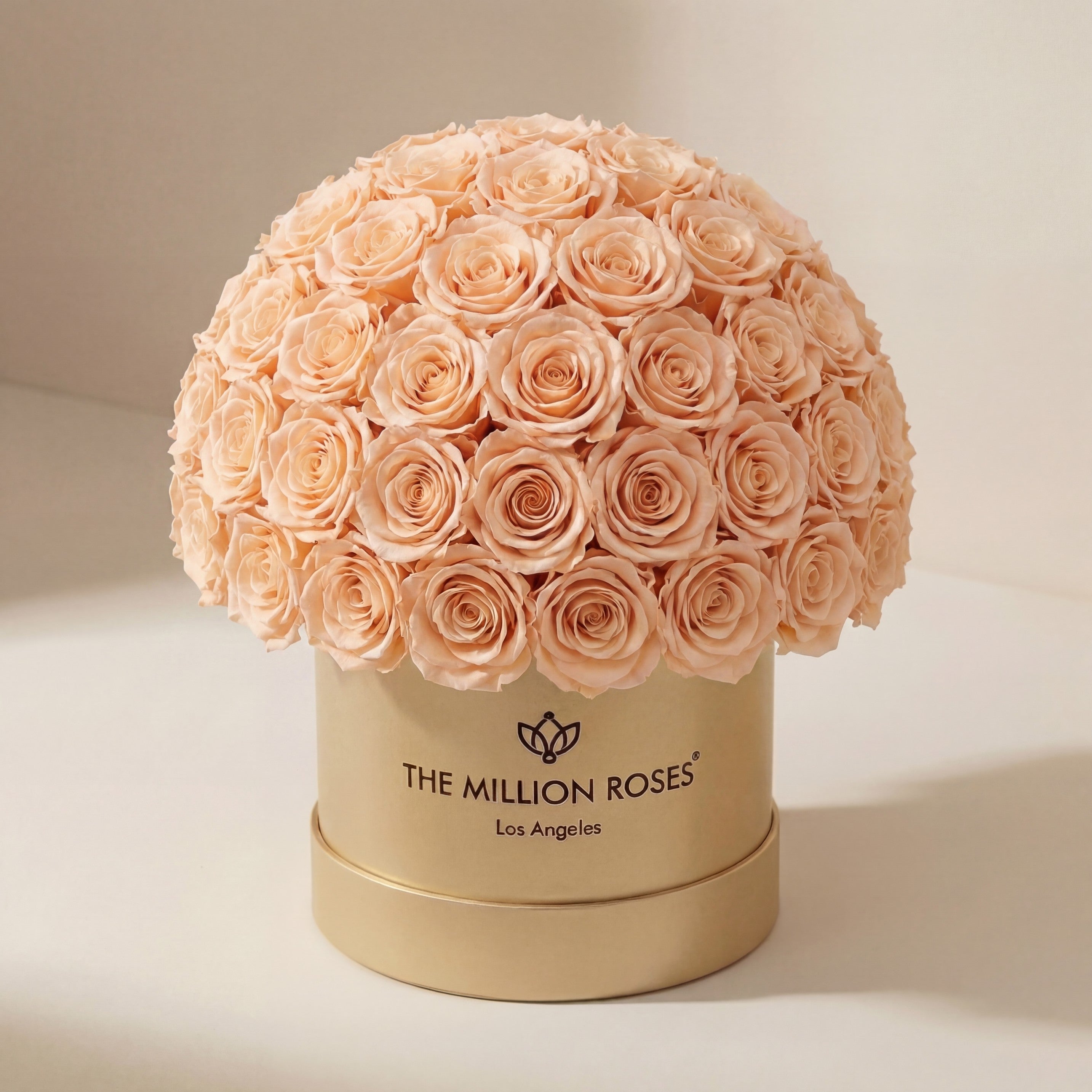 Classic Gold Superdome Box | Peach Roses