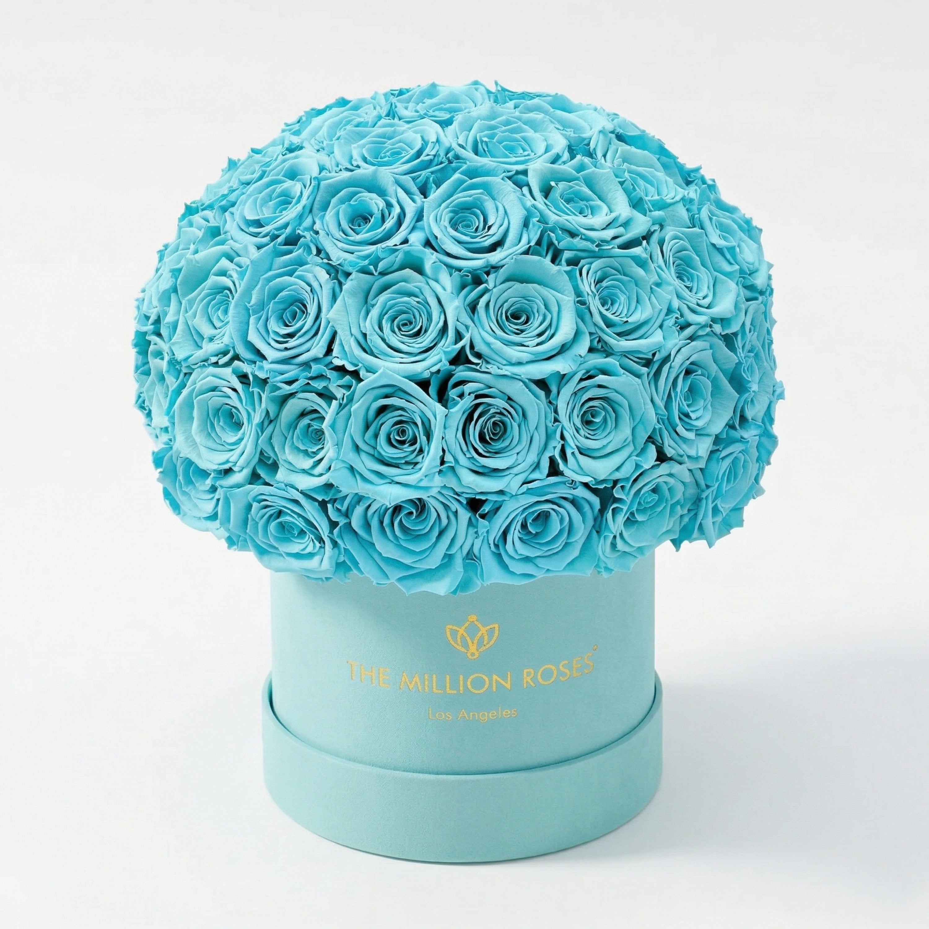 Classic Mint Green Suede Superdome Box | Turquoise Roses